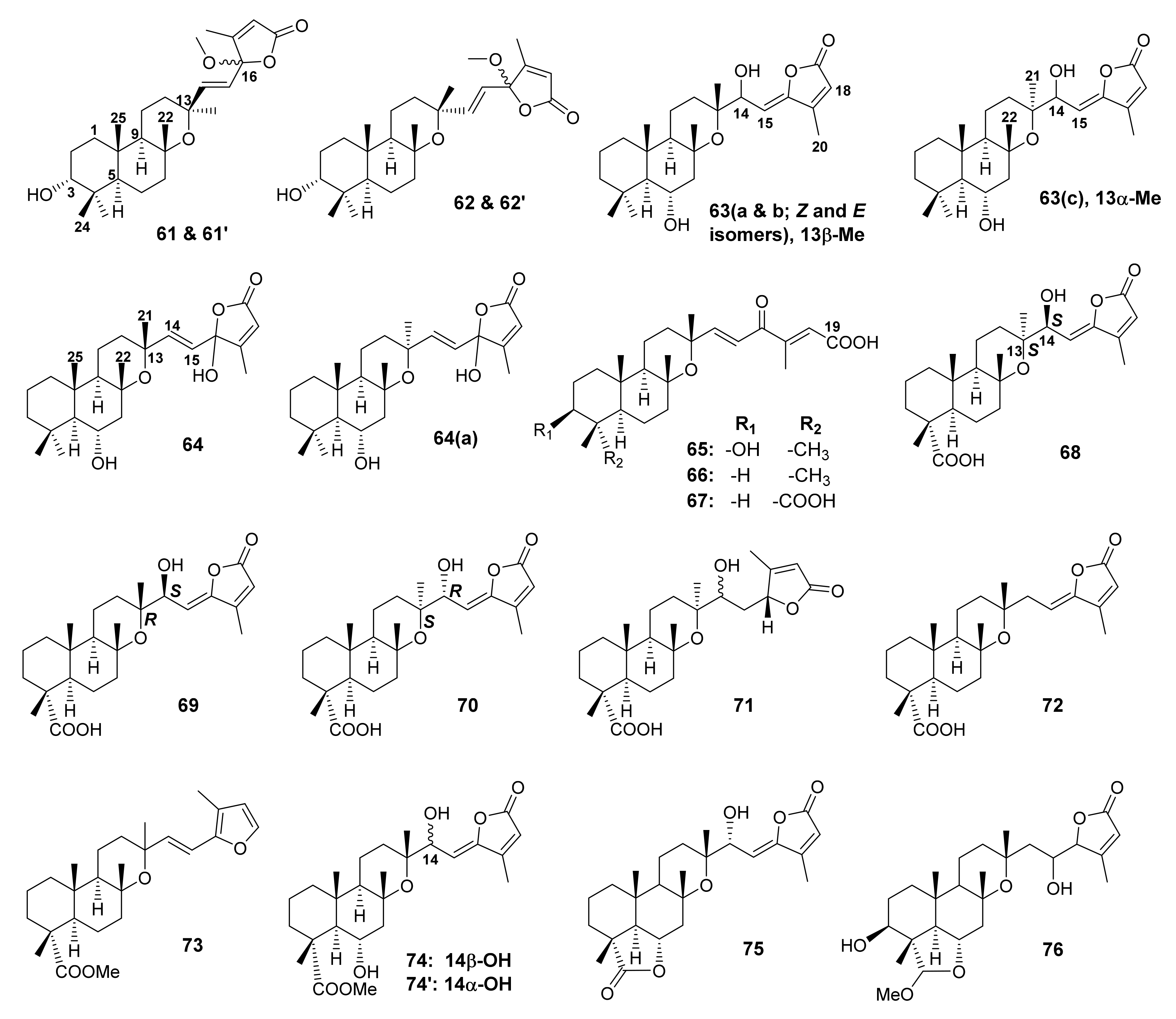 Molecules 27 01128 g014