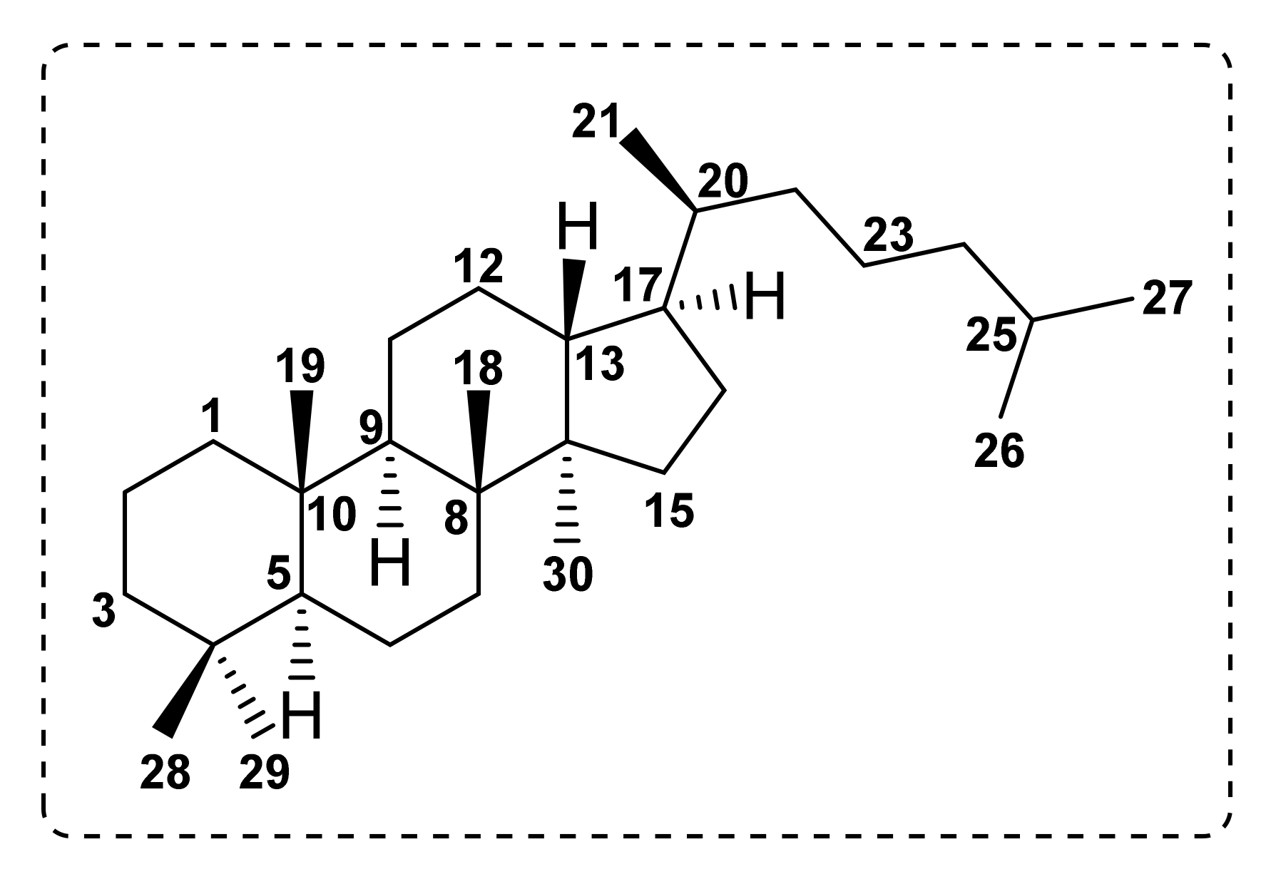 Molecules 27 01128 g016