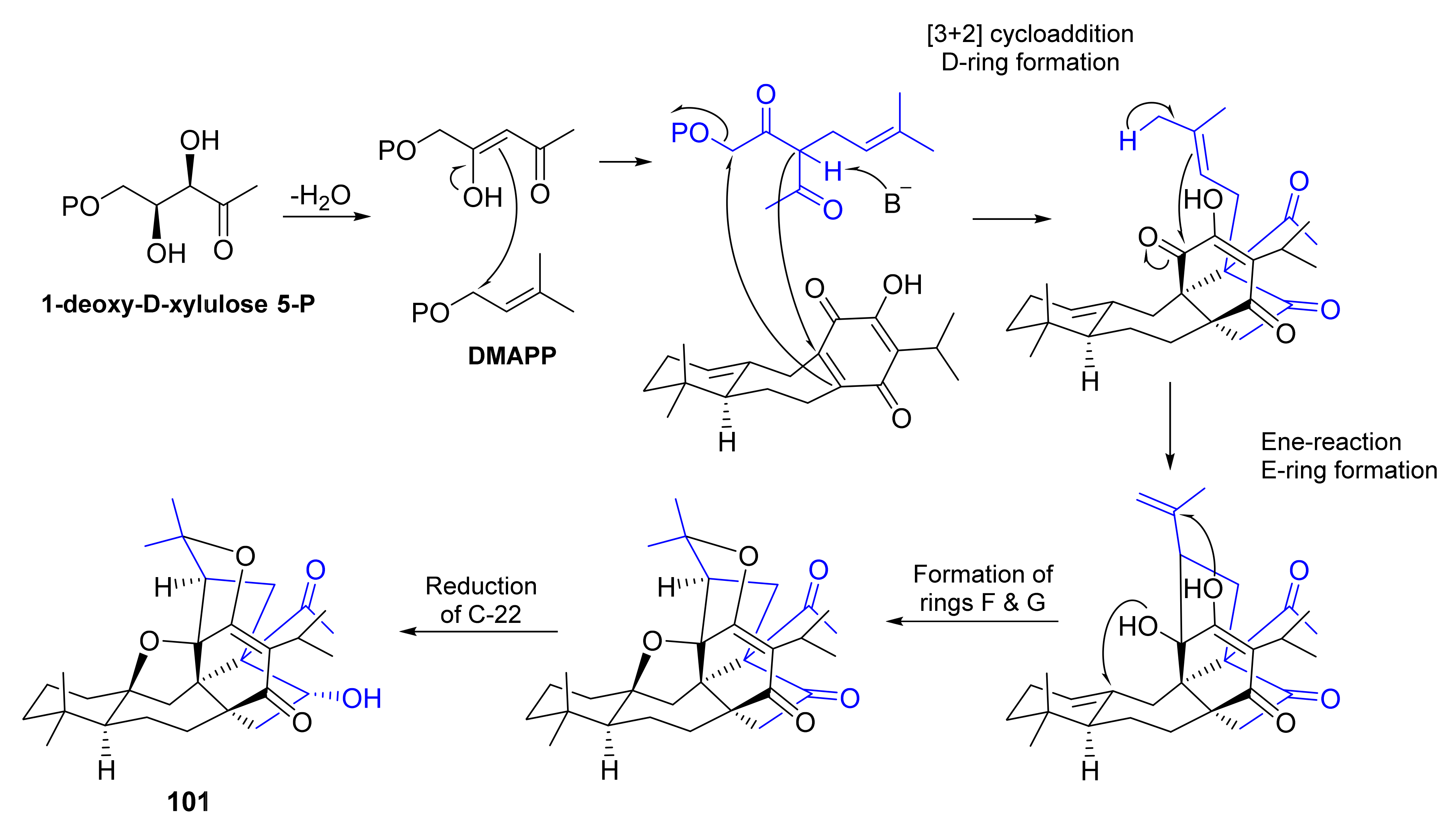 Molecules 27 01128 g025