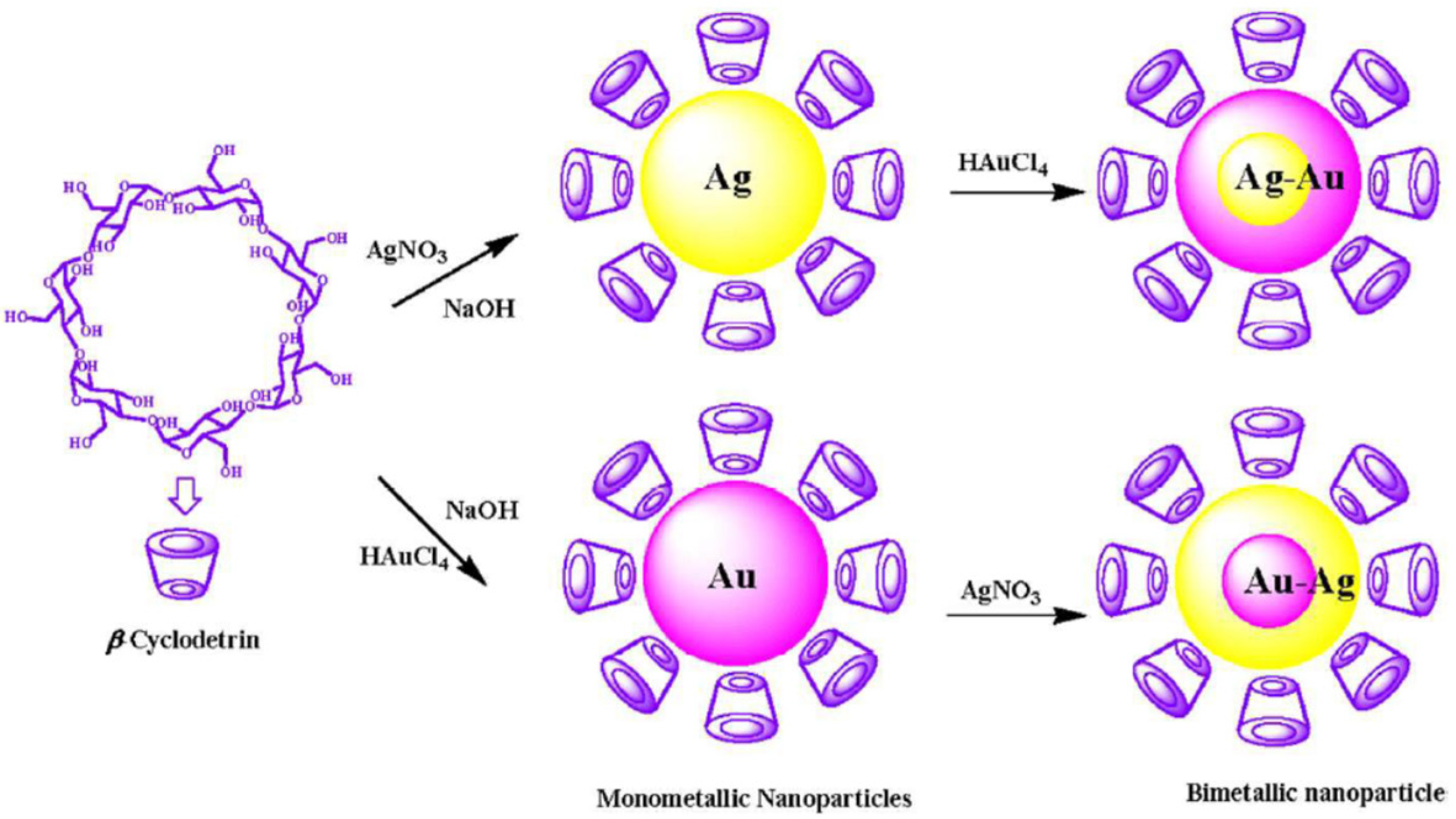 Molecules 27 01134 g005