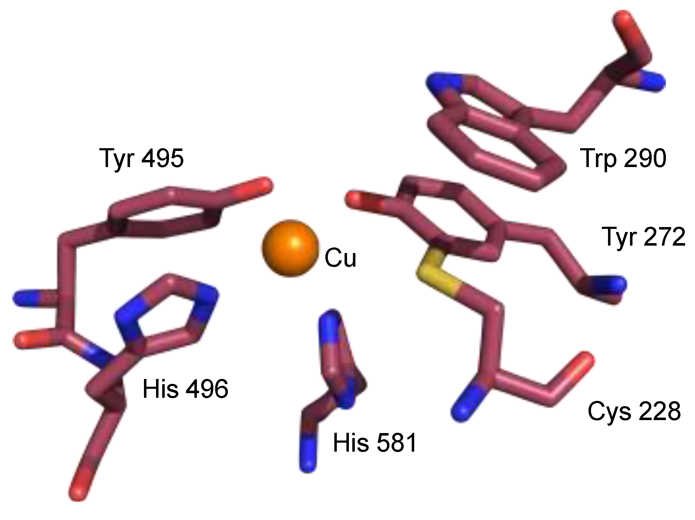 Molecules 27 01135 g001 Molecules 27 01135 g001
