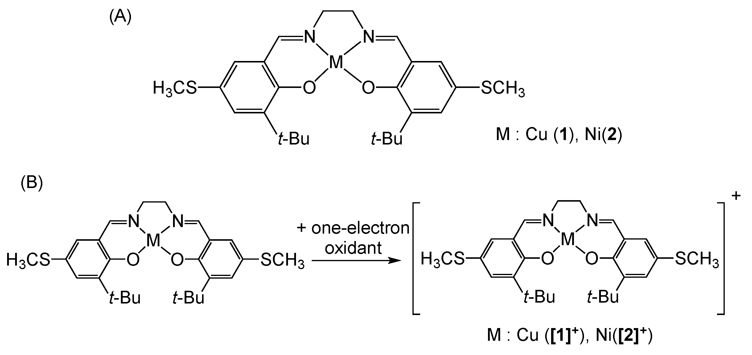 Molecules 27 01135 sch003 Molecules 27 01135 sch003