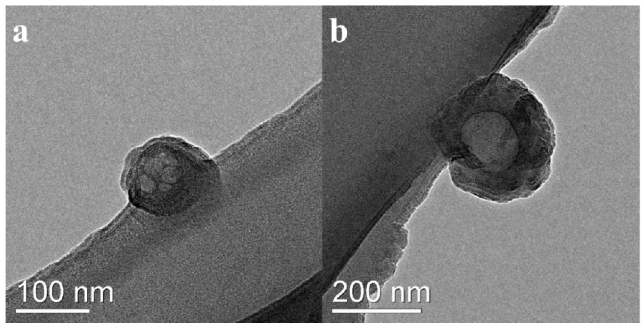 Molecules 27 01148 g006