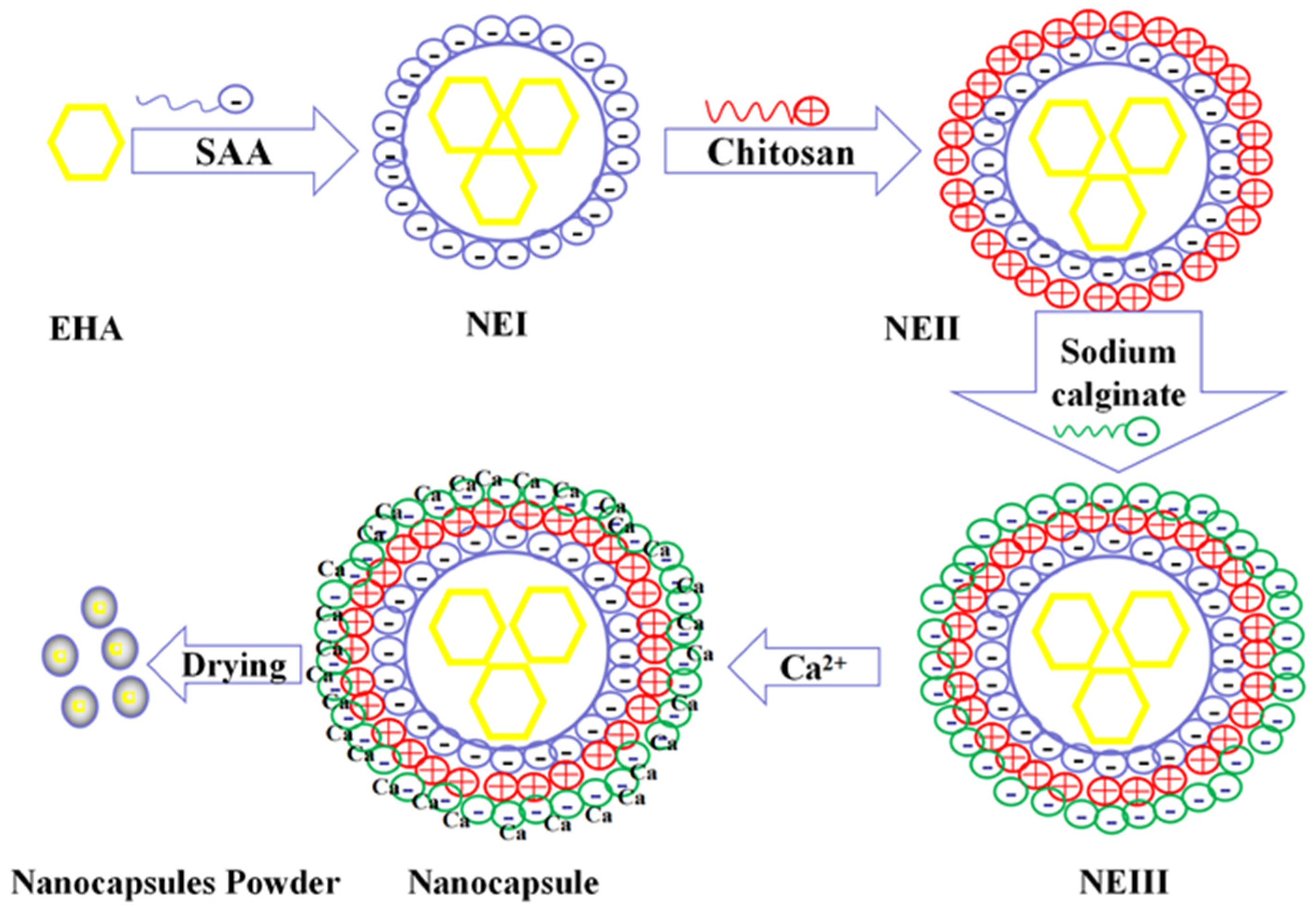Molecules 27 01148 sch001
