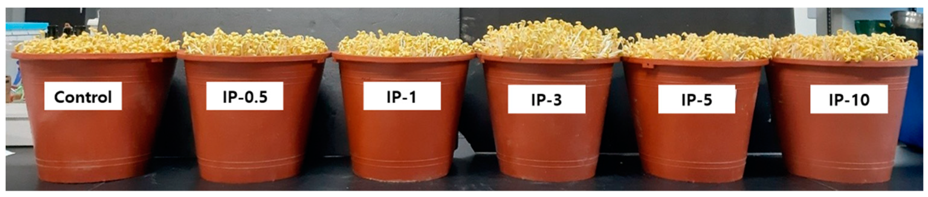 Molecules 27 01152 g001