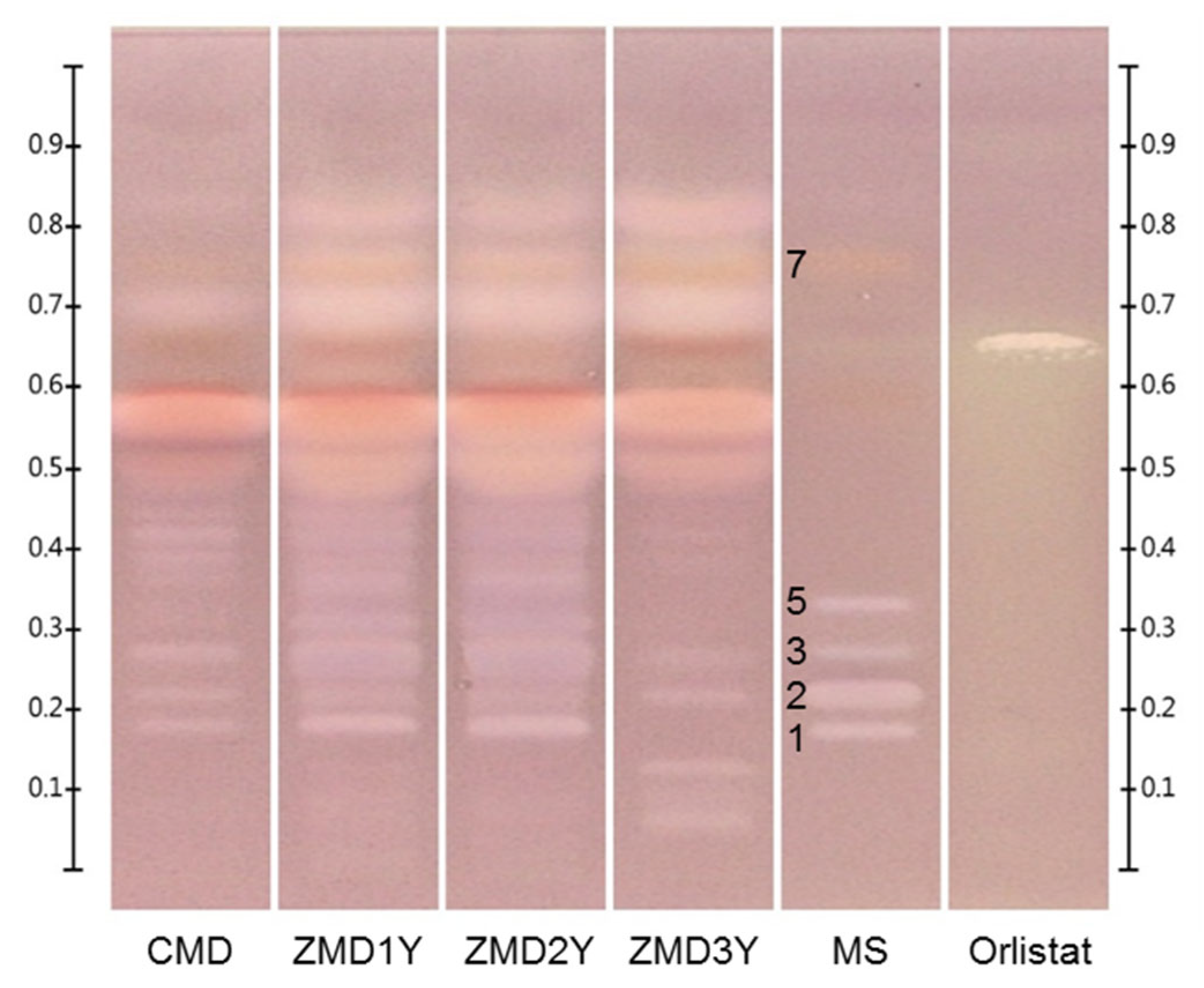 Molecules 27 01155 g005 Molecules 27 01155 g005