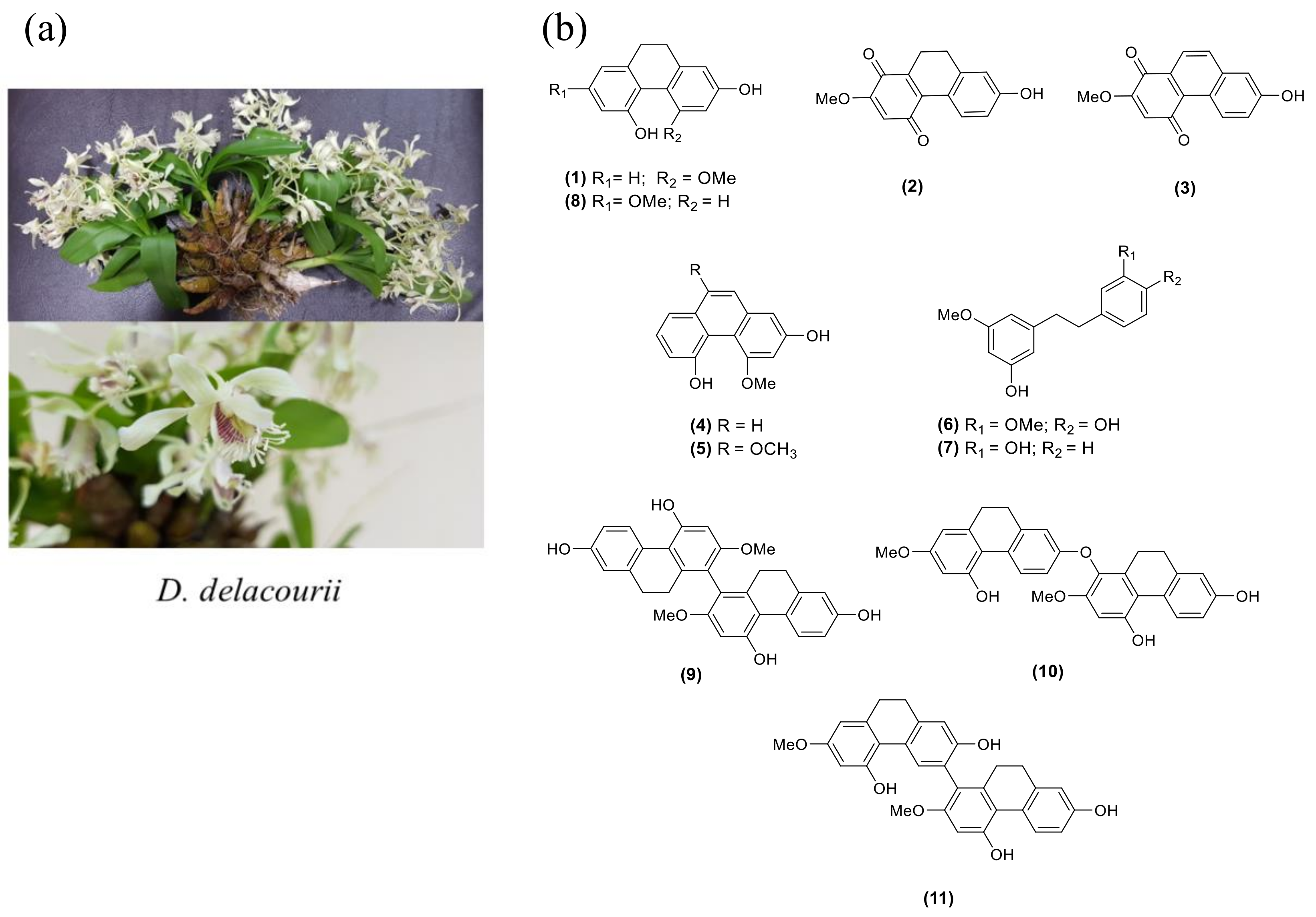 Molecules 27 01156 g001