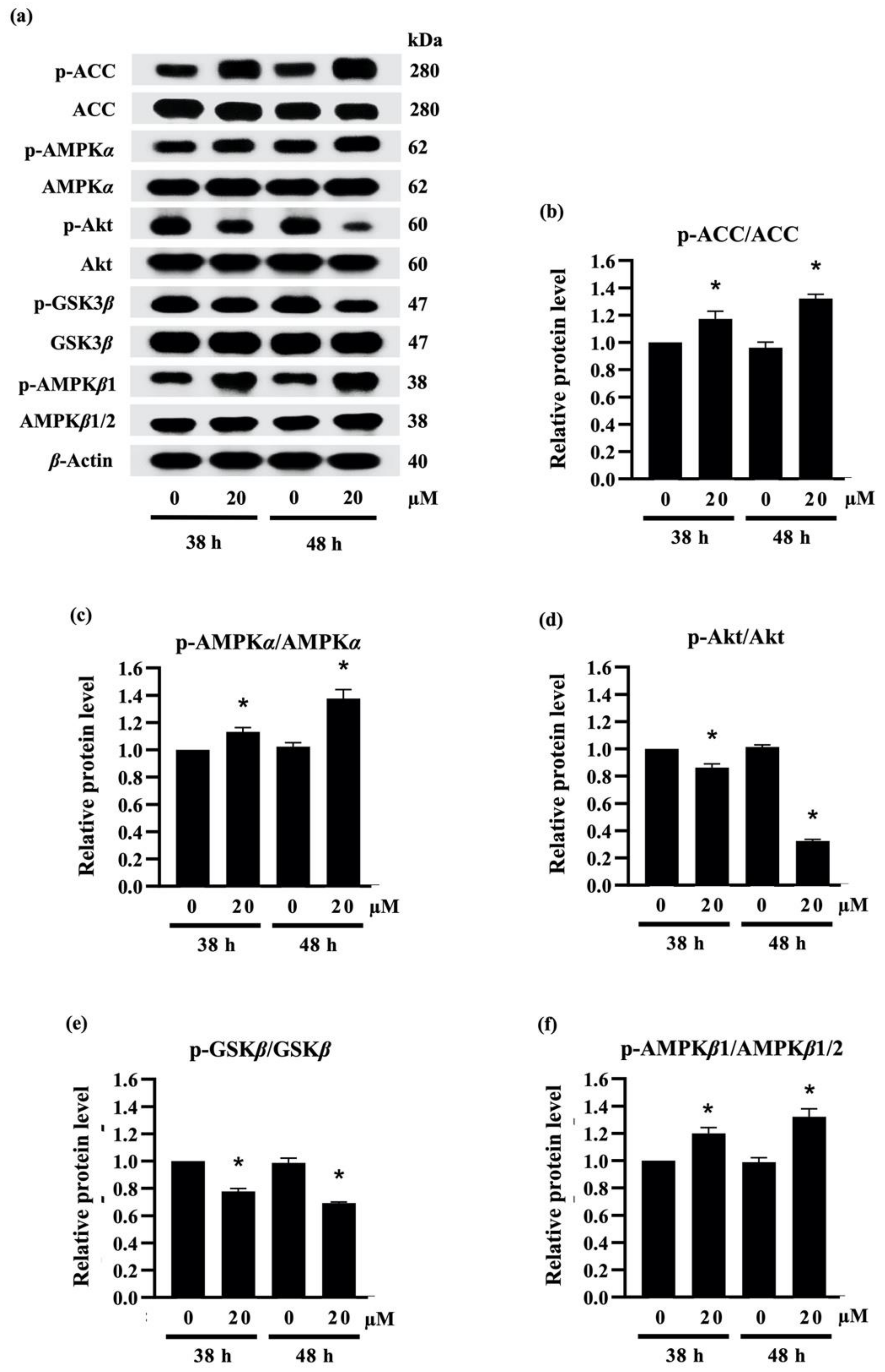 Molecules 27 01156 g005
