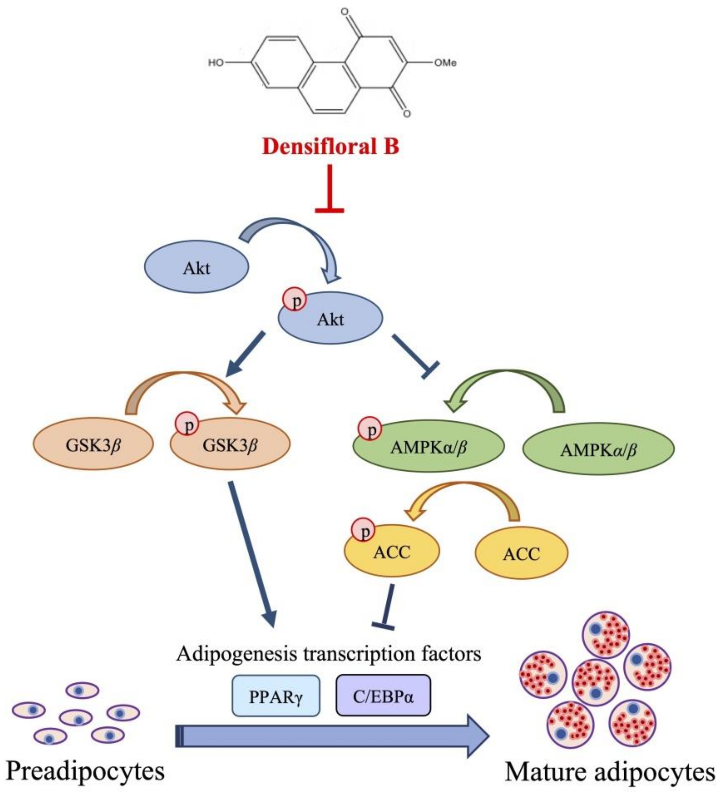 Molecules 27 01156 g006