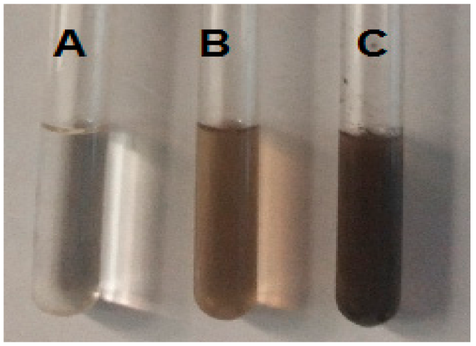 Molecules 27 01166 g001