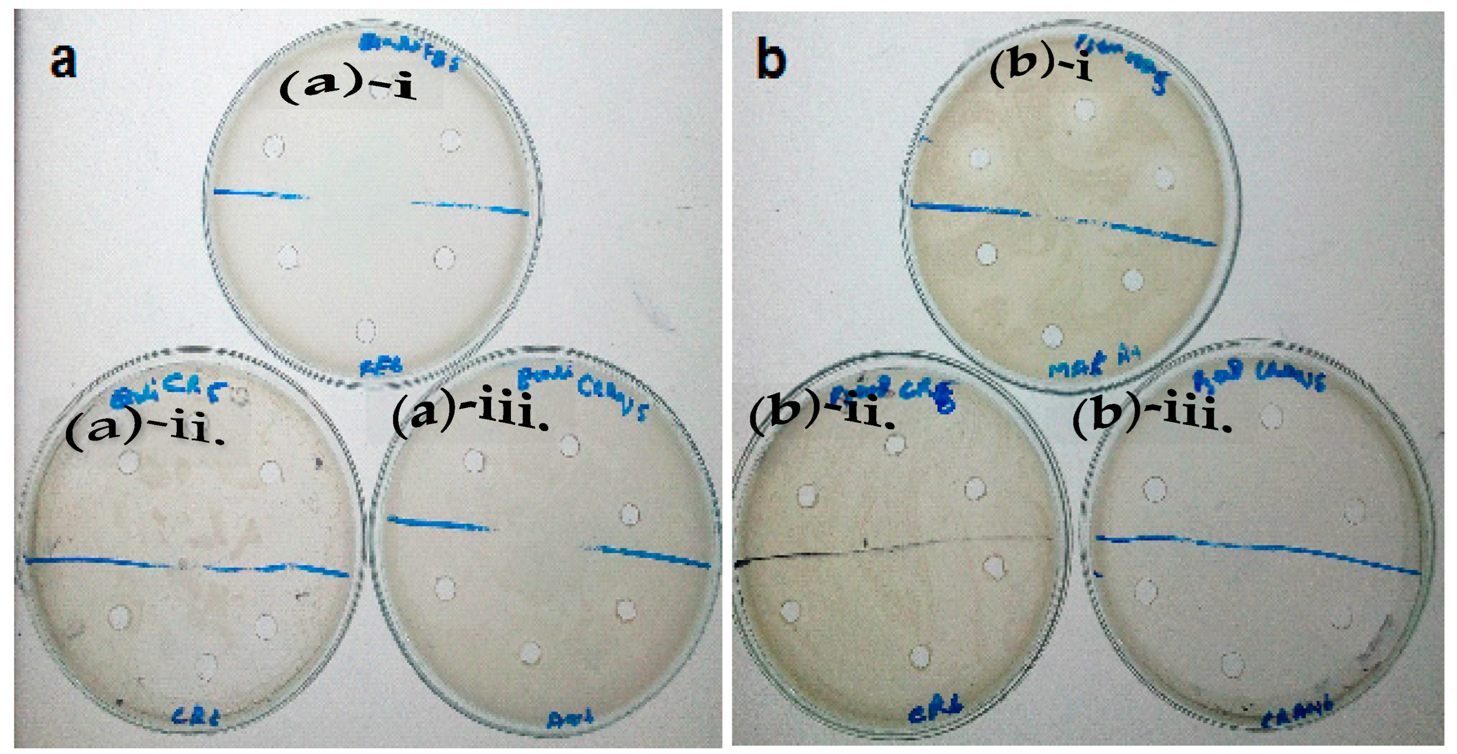 Molecules 27 01166 g006