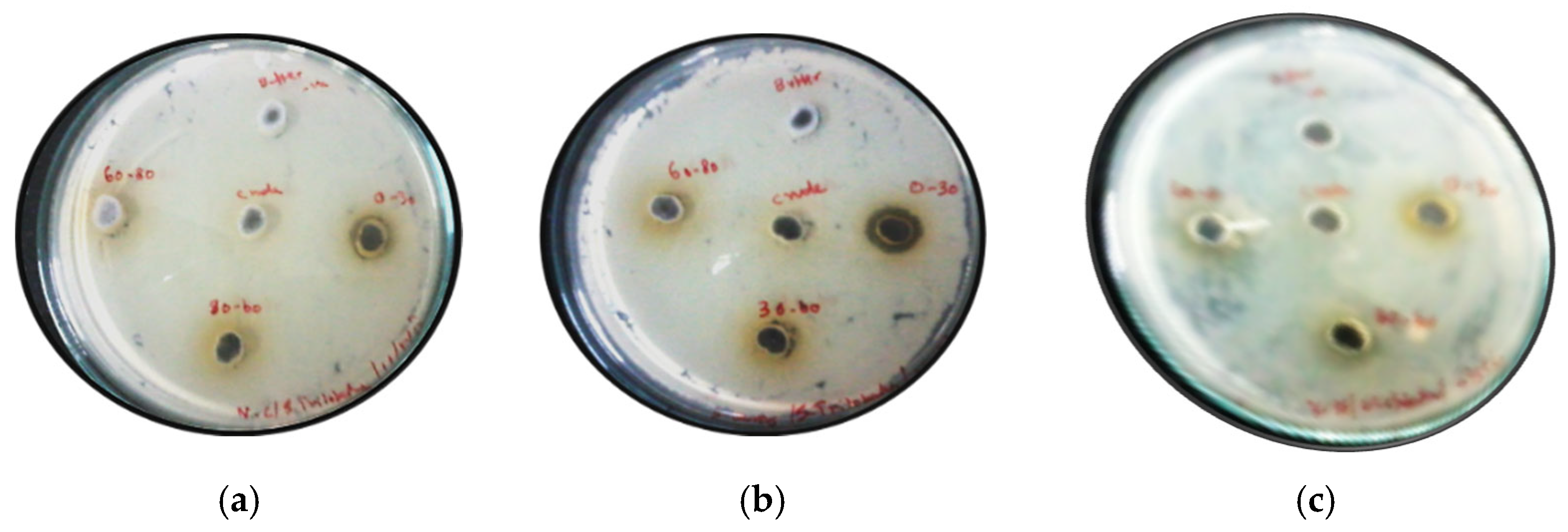 Molecules 27 01167 g001