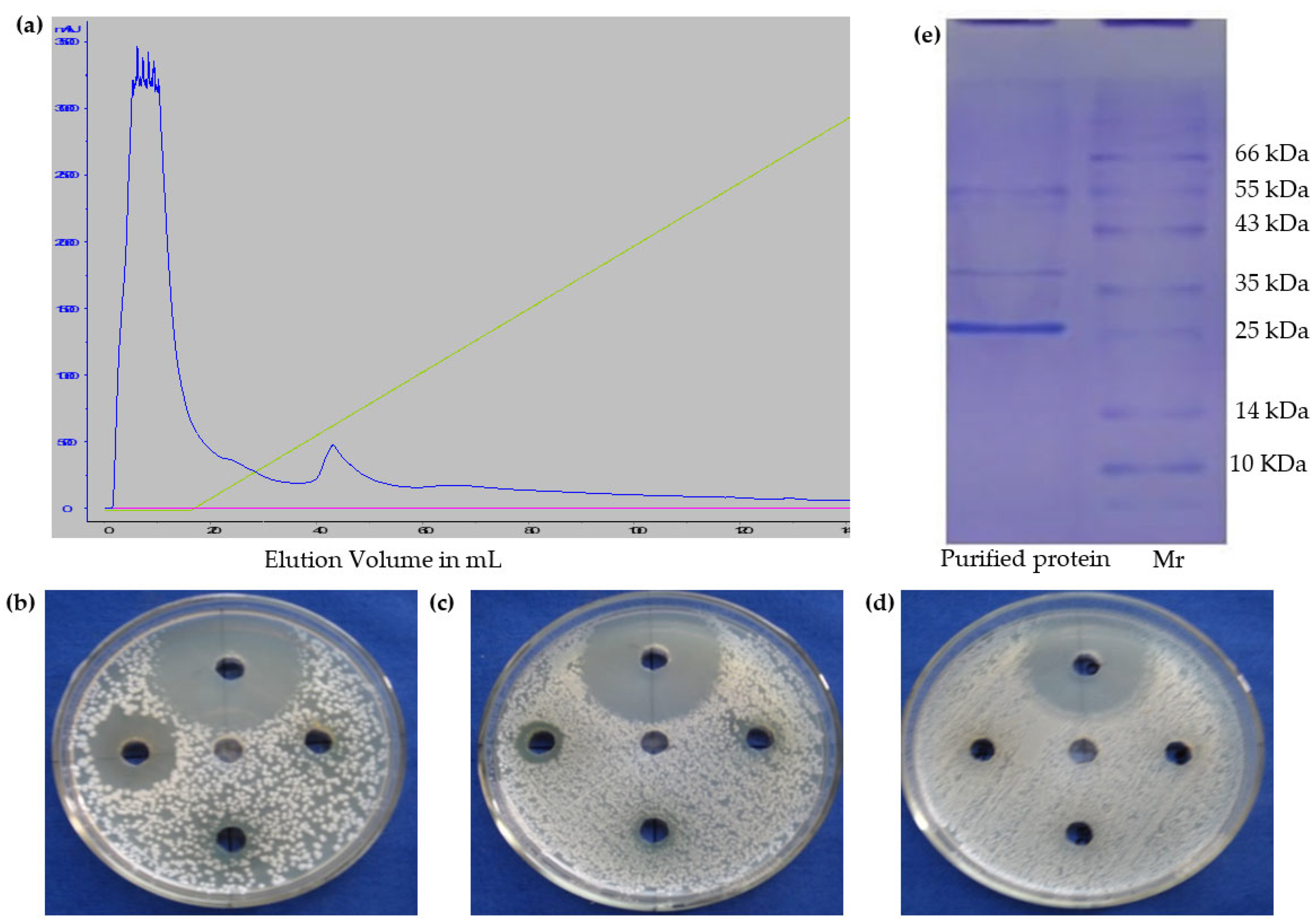 Molecules 27 01167 g002