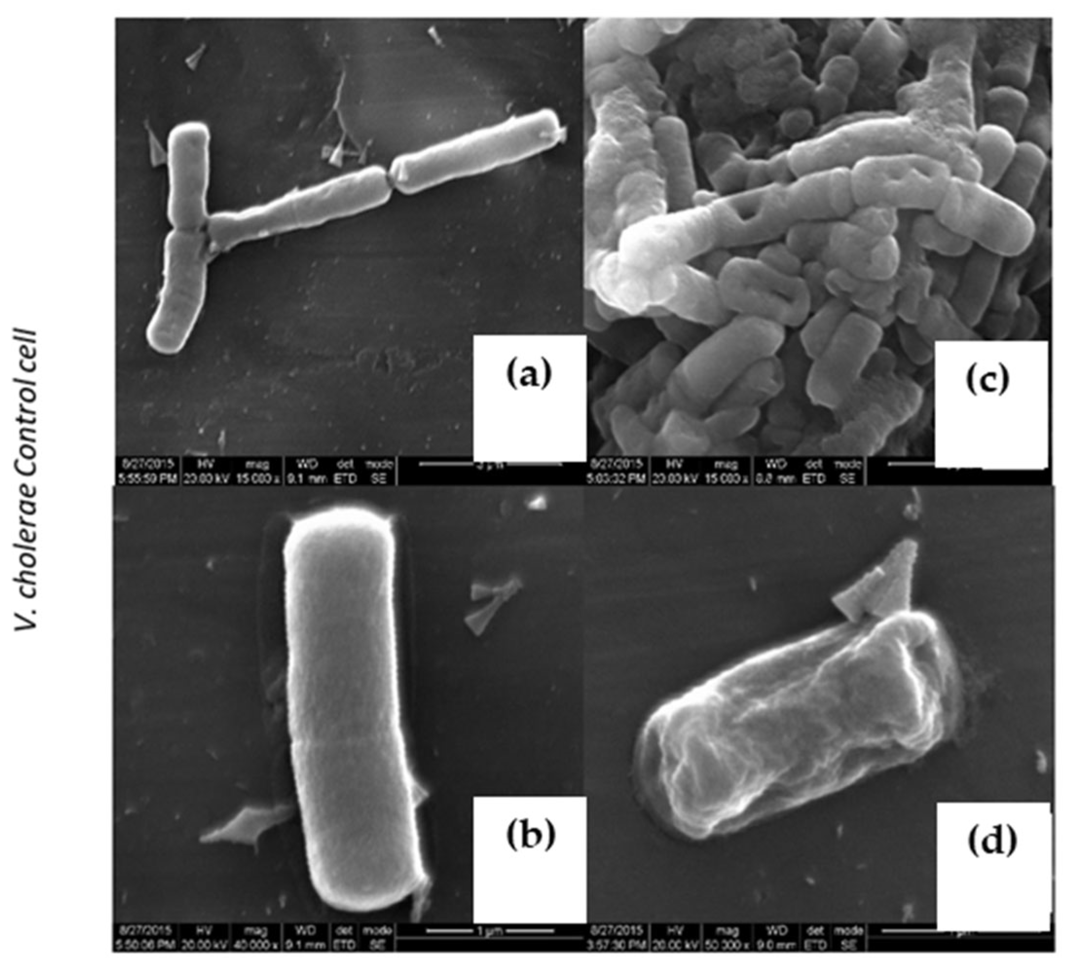 Molecules 27 01167 g005