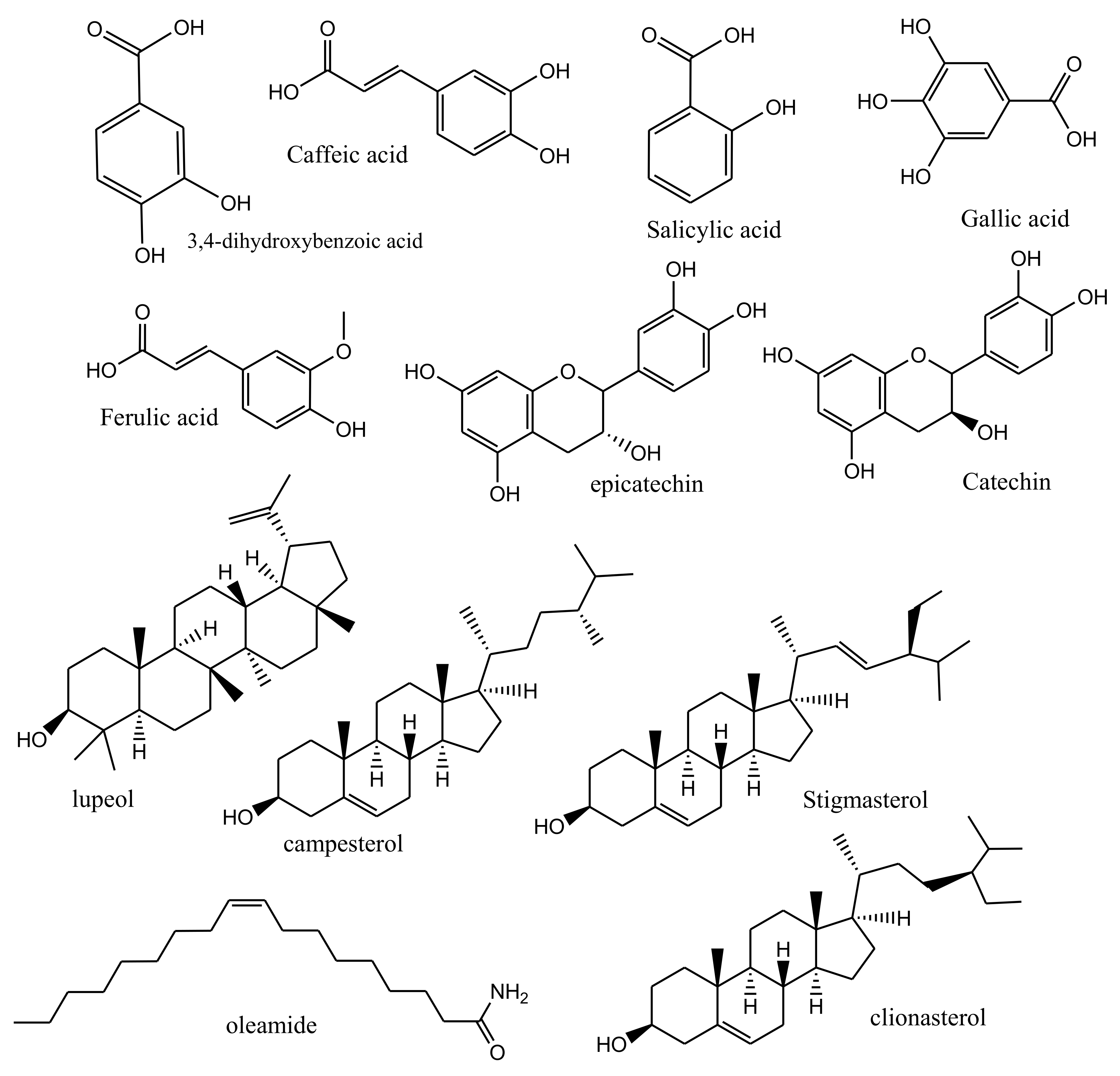 Molecules 27 01171 g001 Molecules 27 01171 g001