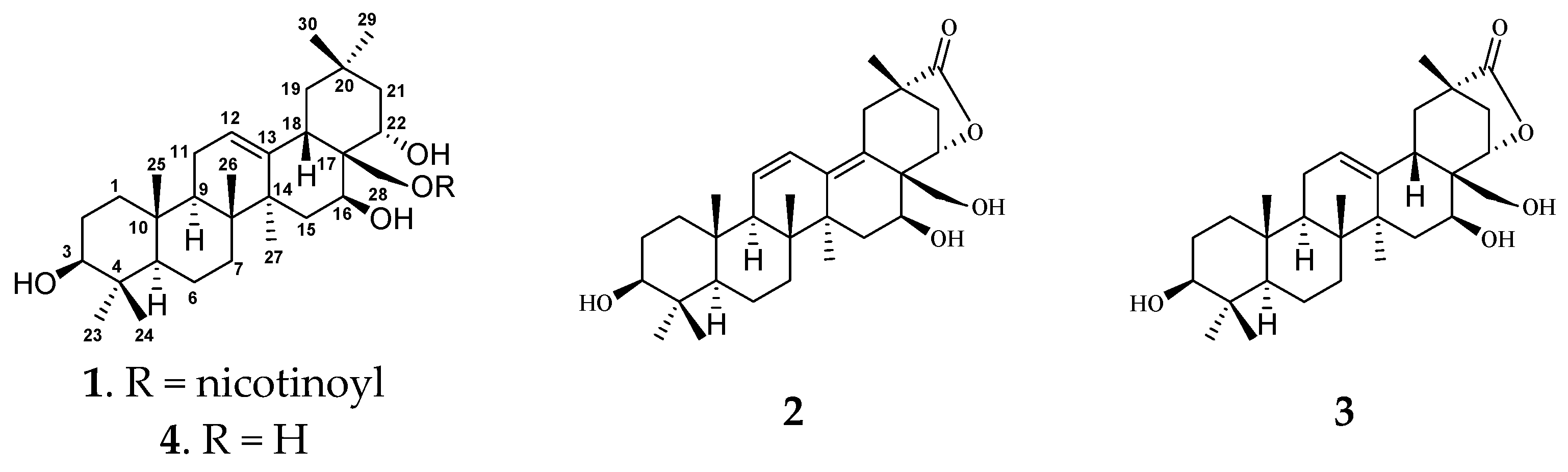 Molecules 27 01183 g001