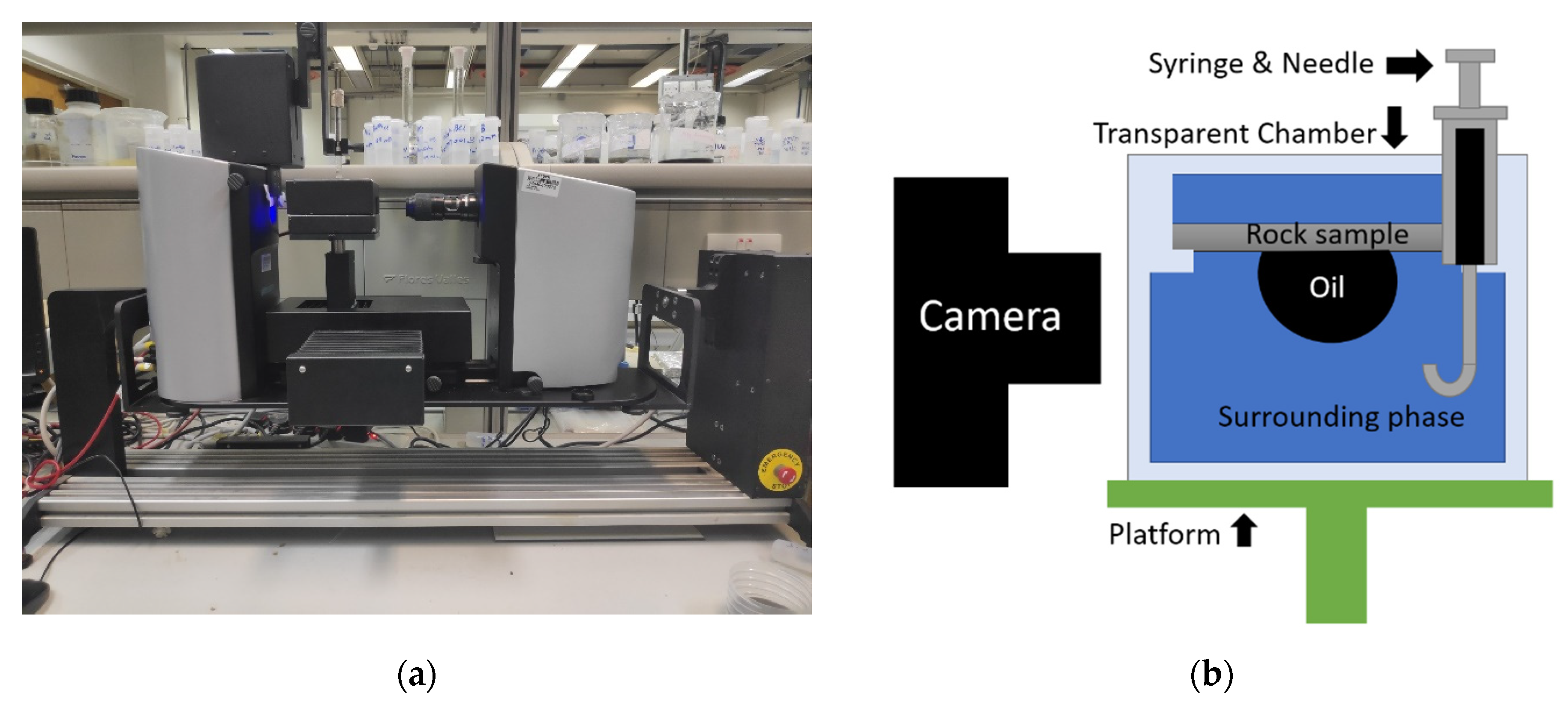 Molecules 27 01195 g011