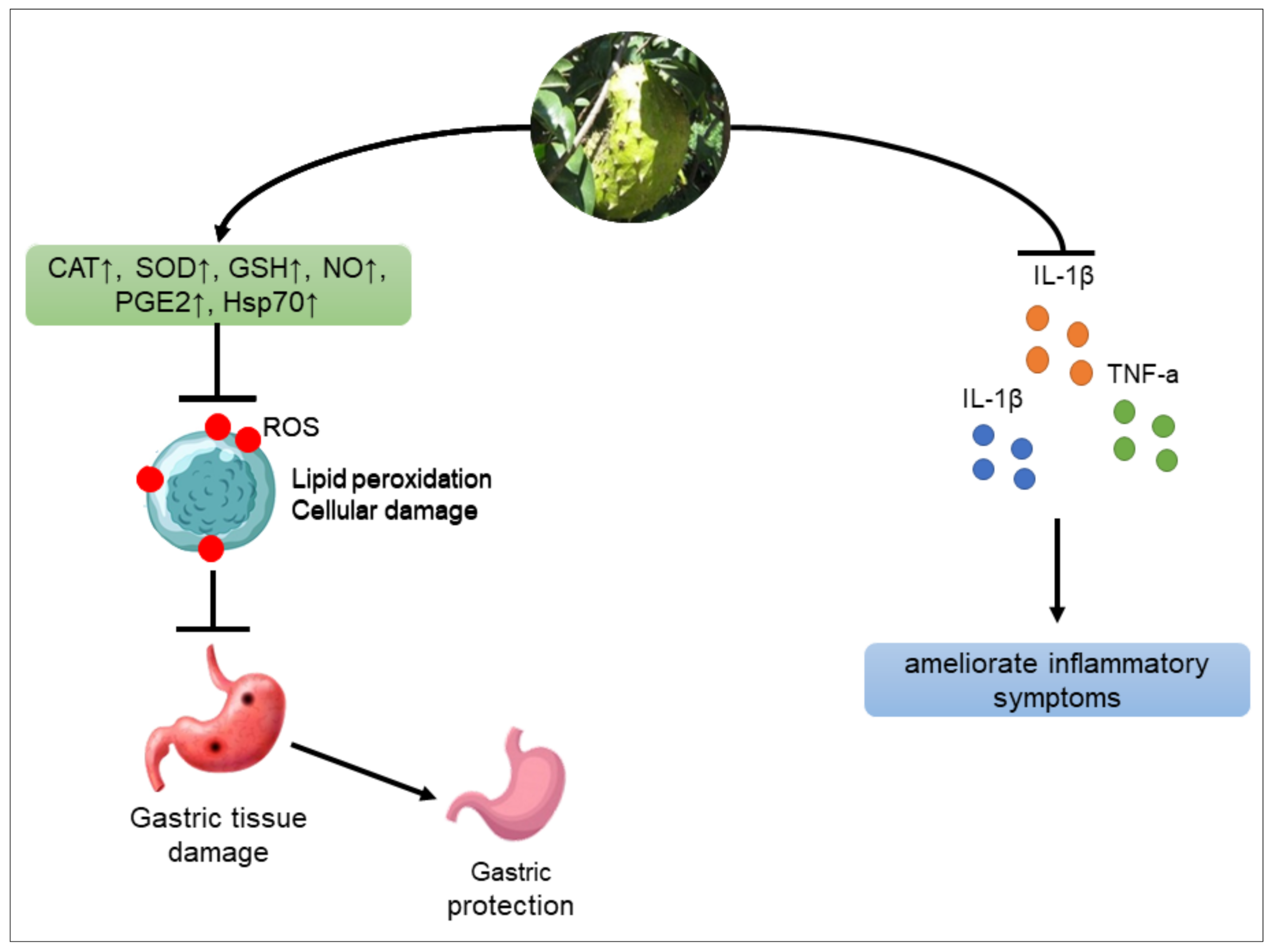 Molecules 27 01201 g006