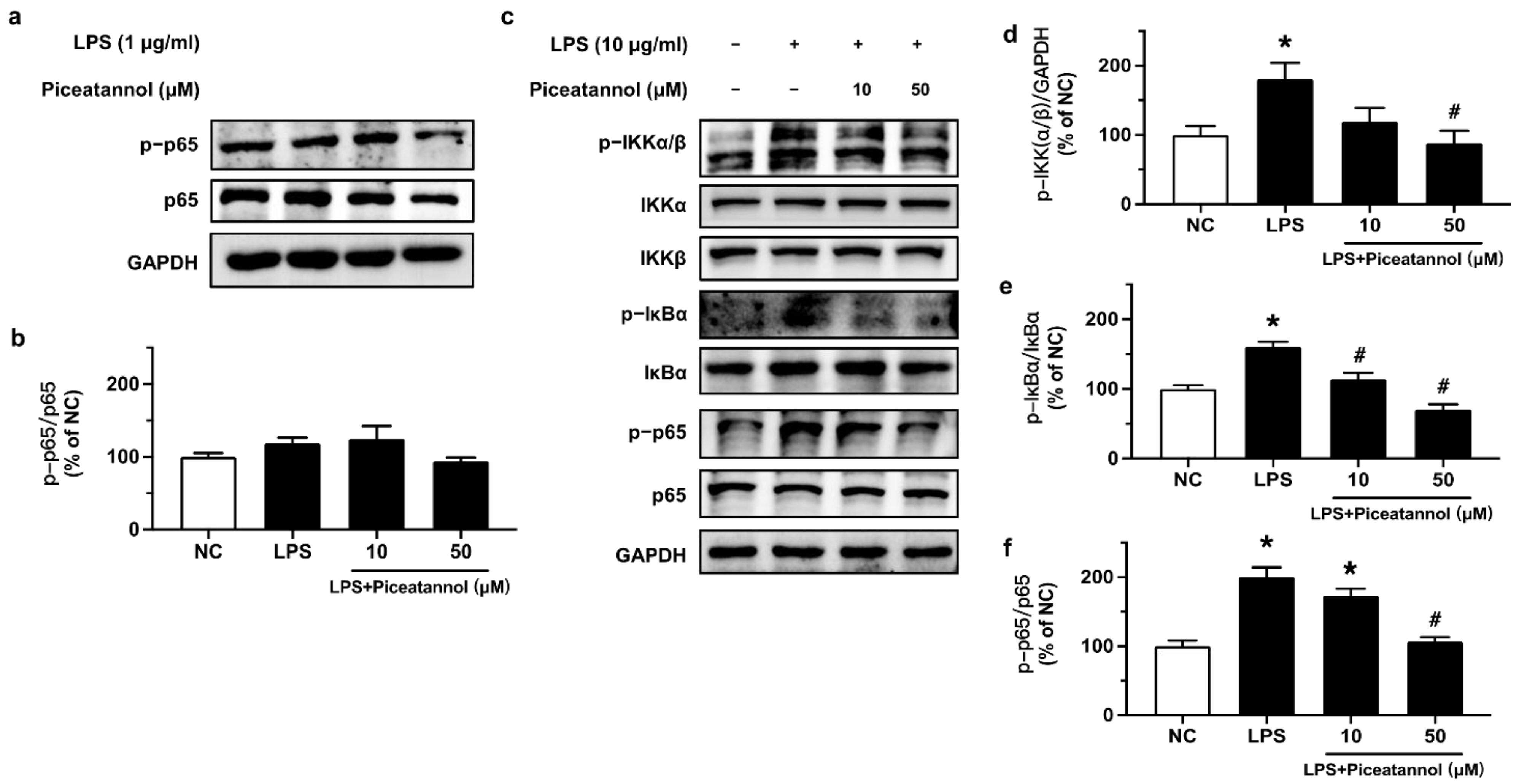 Molecules 27 01206 g004