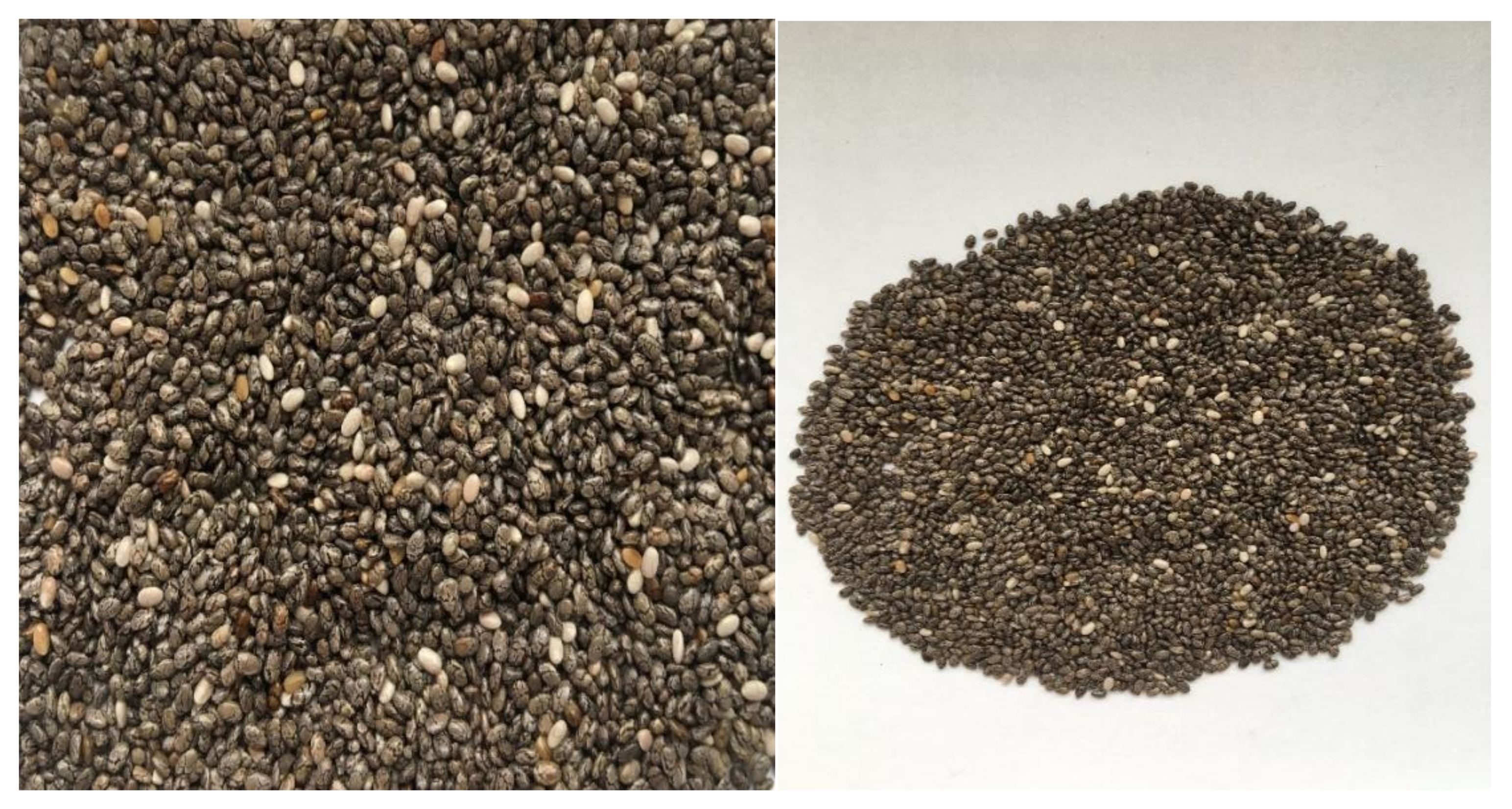 Molecules 27 01207 g001