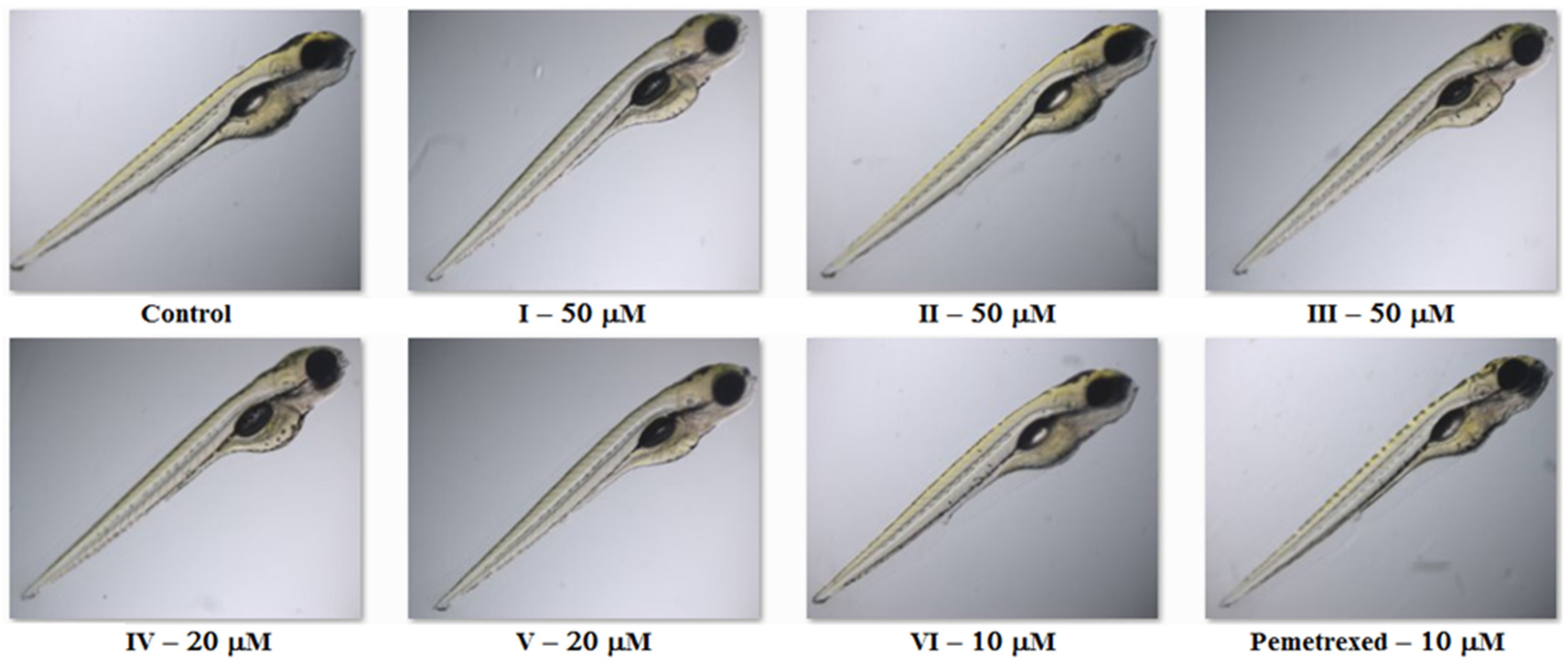 Molecules 27 01211 g005