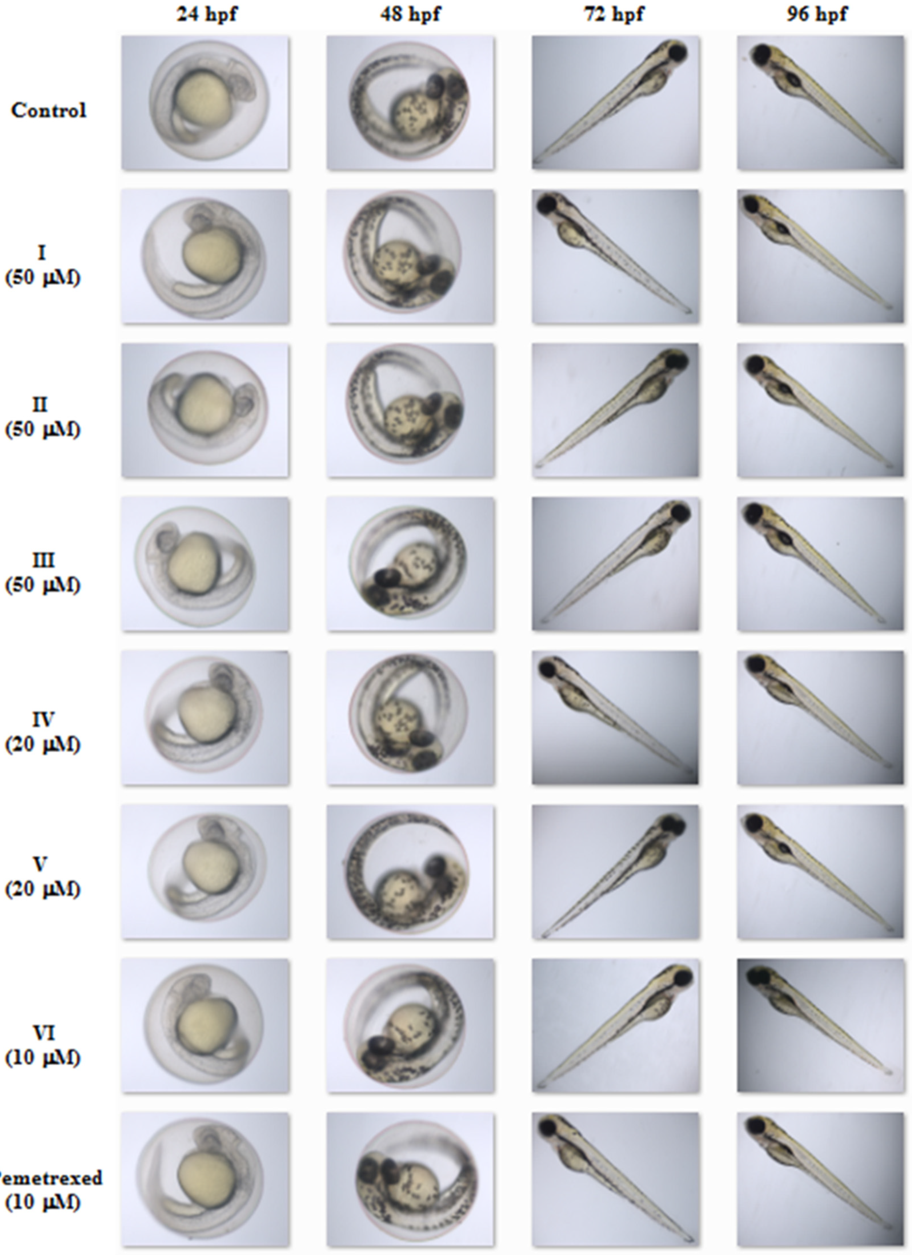 Molecules 27 01211 g006