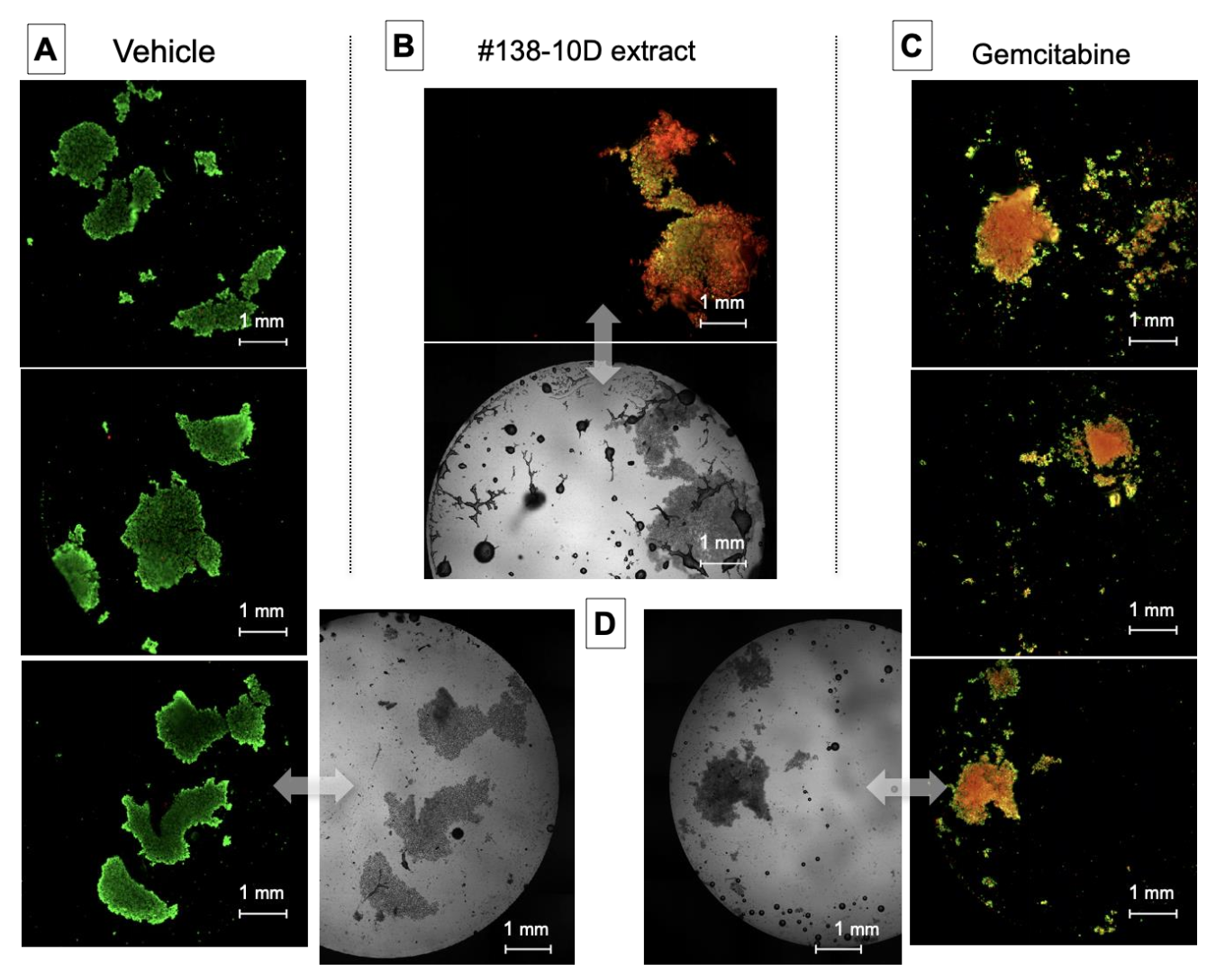 Molecules 27 01214 g001 Molecules 27 01214 g001