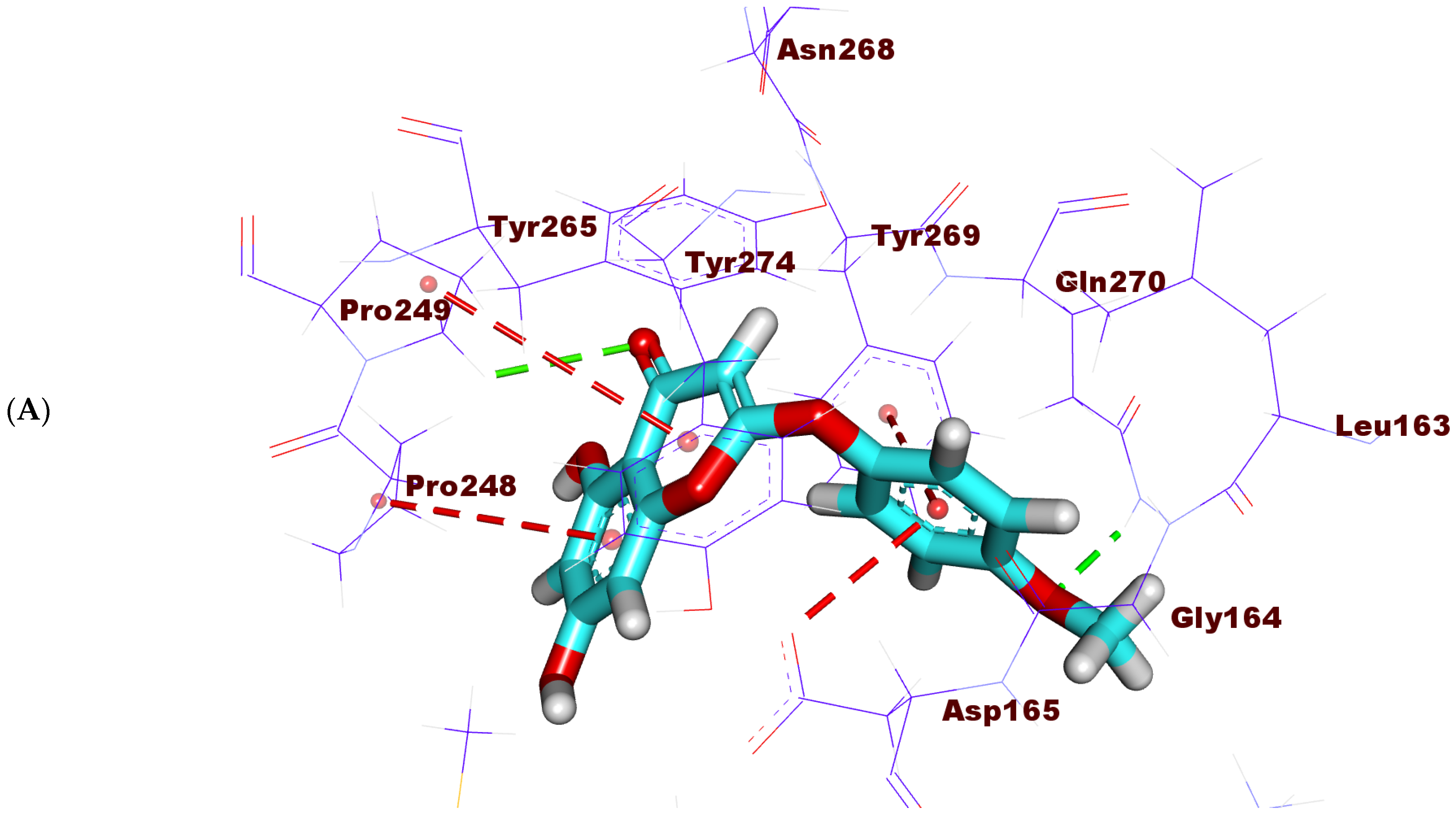 Molecules 27 01216 g008a