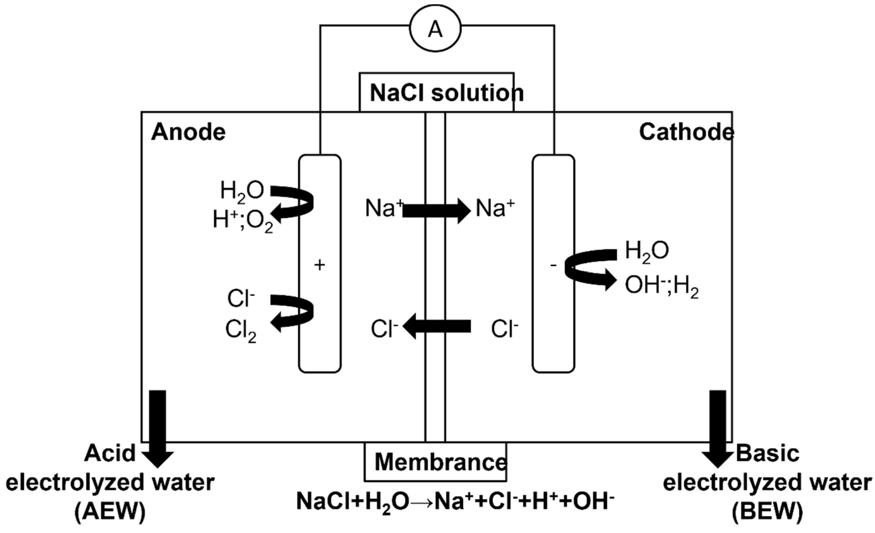 Molecules 27 01222 g001