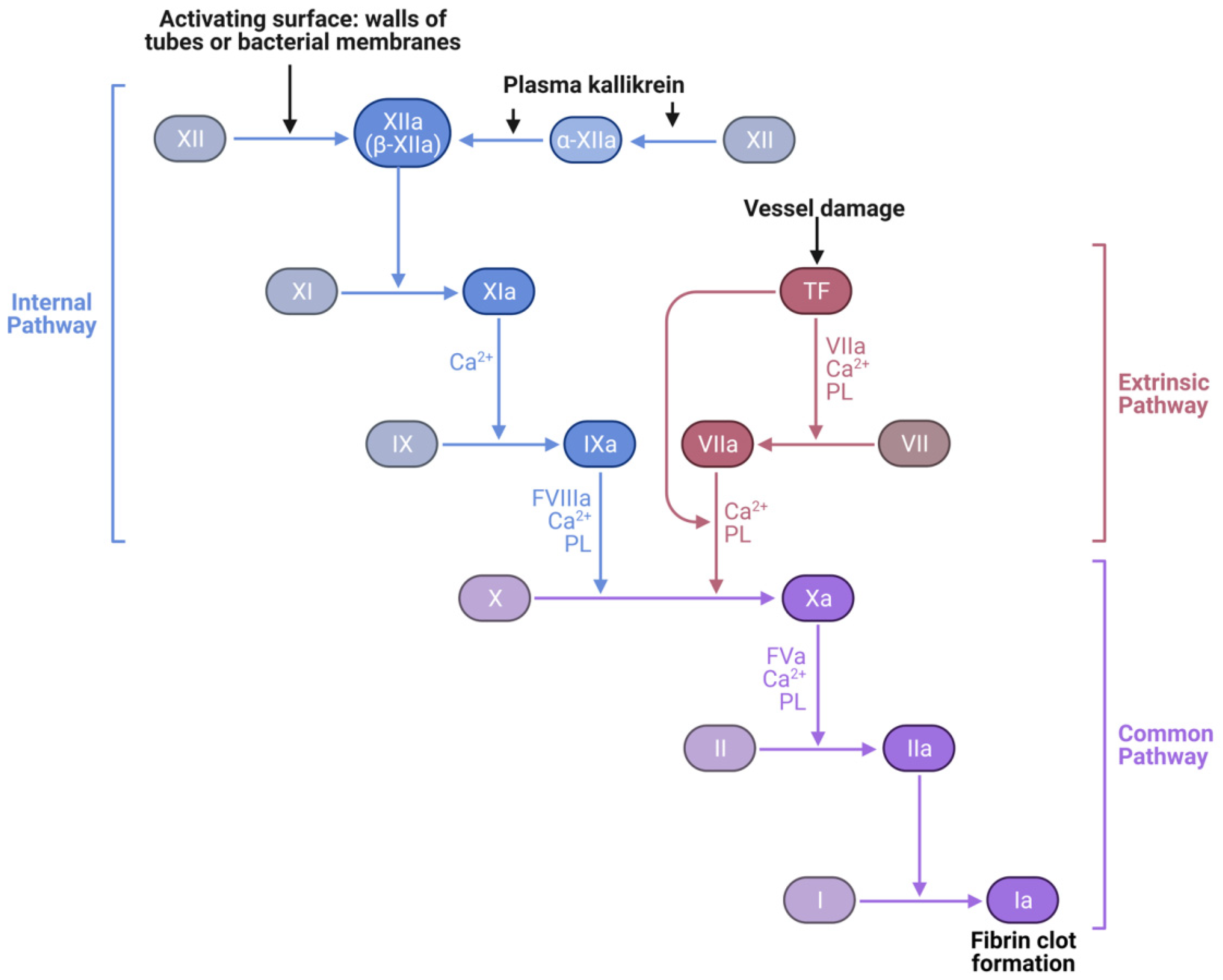 Molecules 27 01234 g001