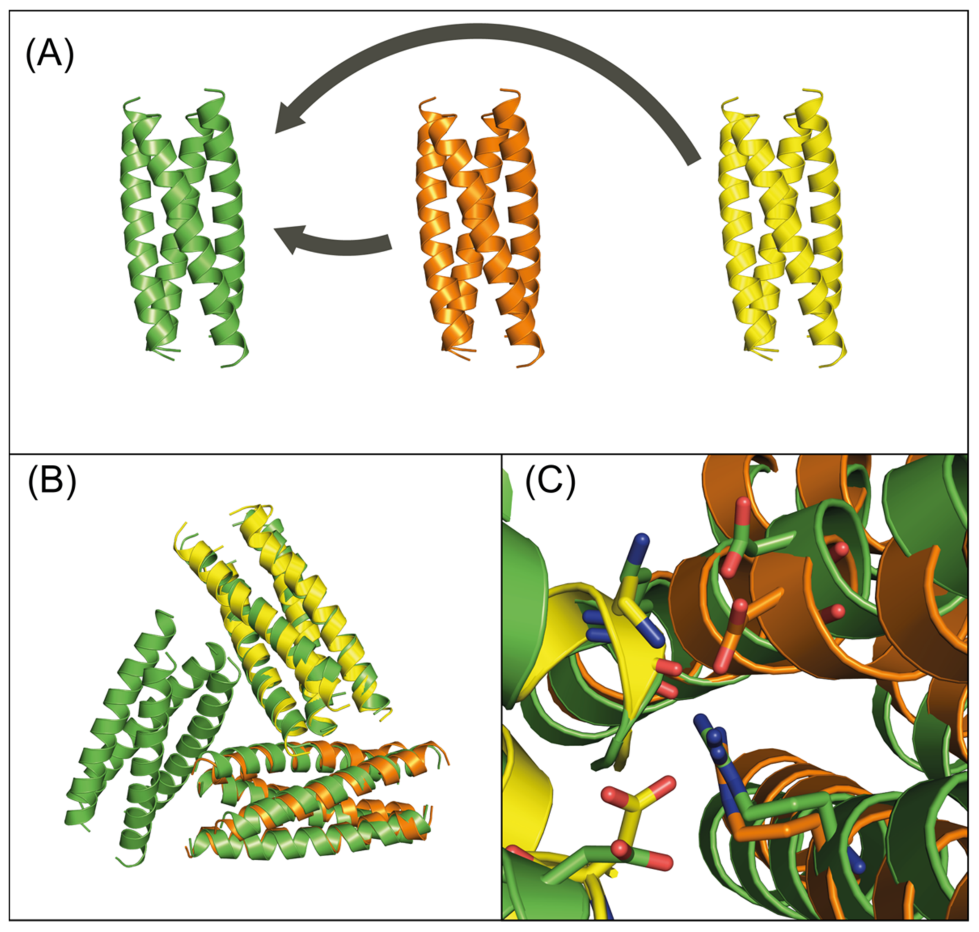 Molecules 27 01237 g002 Molecules 27 01237 g002