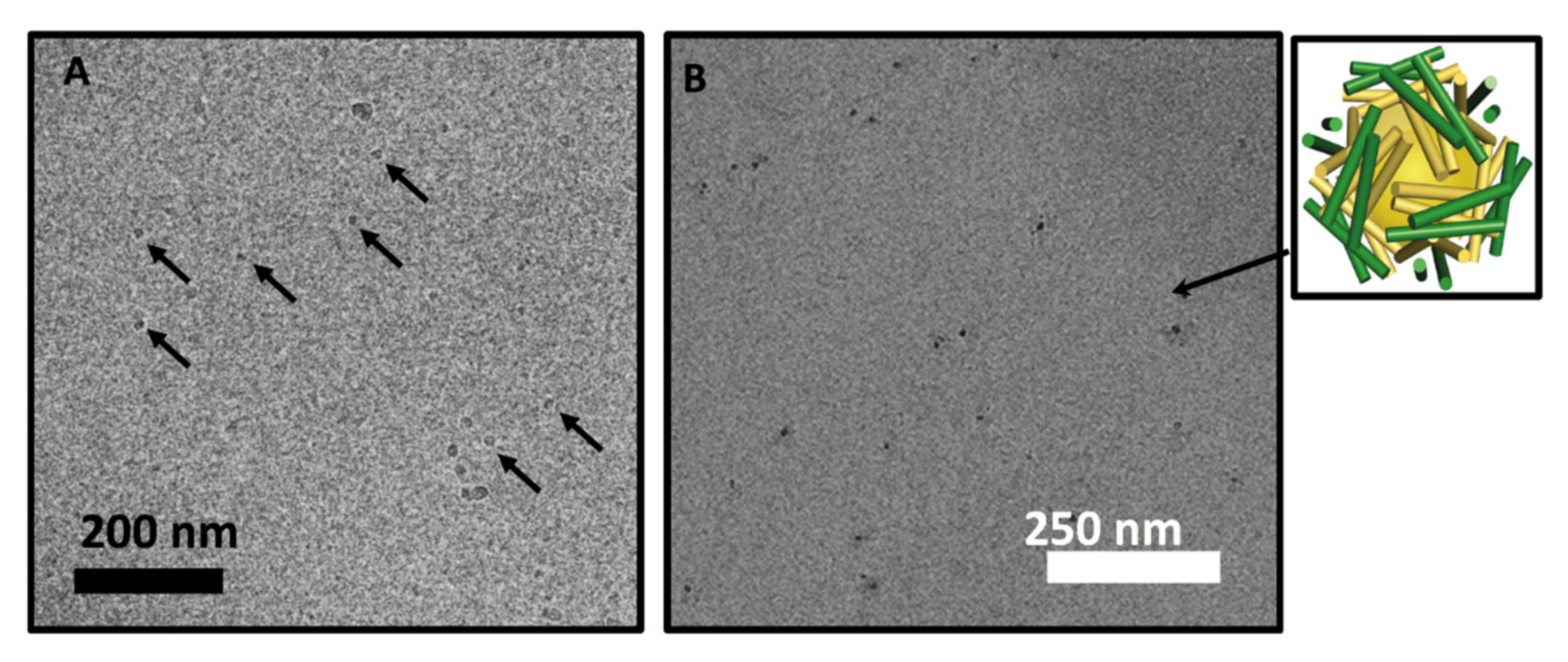 Molecules 27 01237 g004 Molecules 27 01237 g004