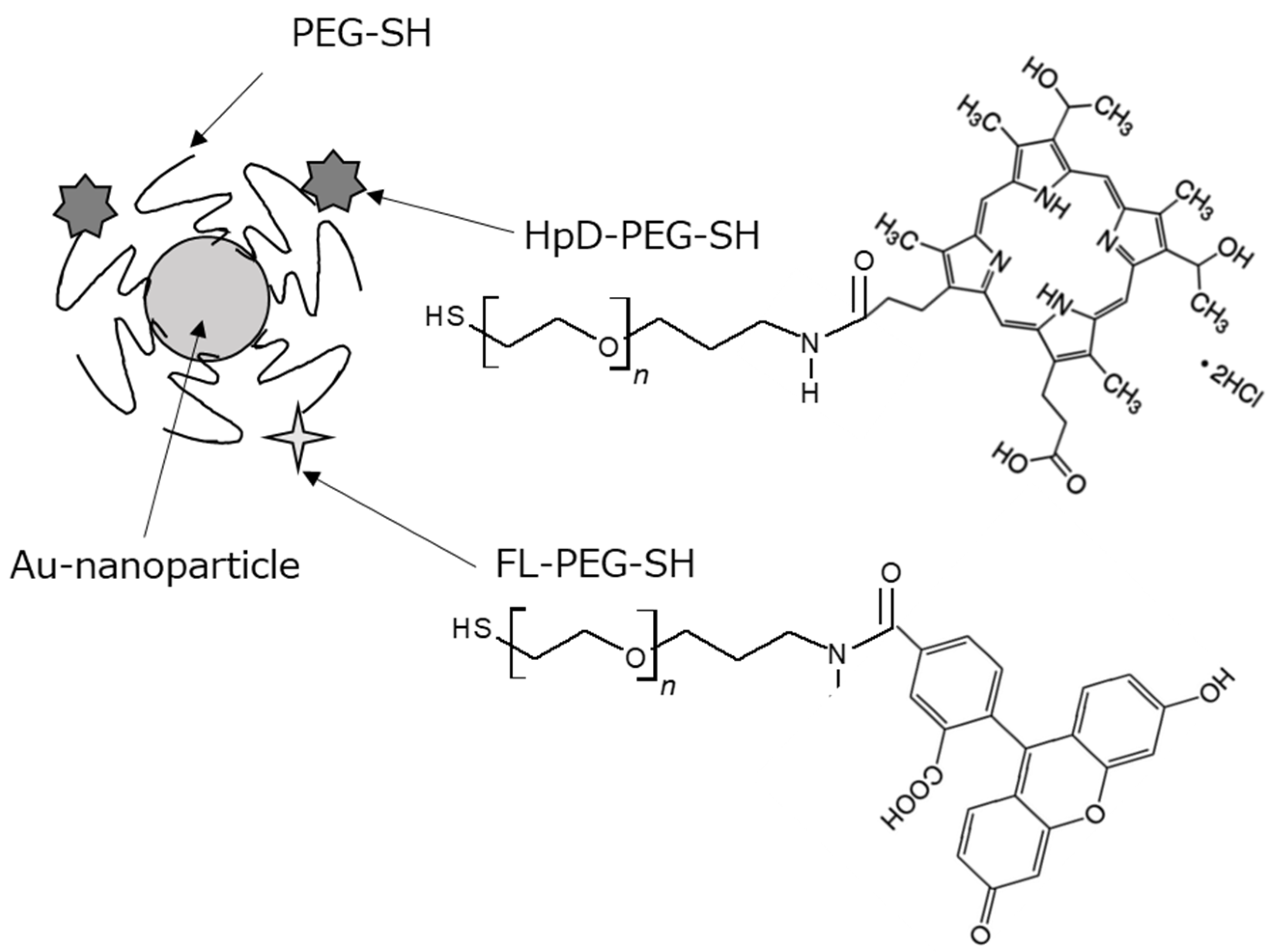Molecules 27 01238 g001