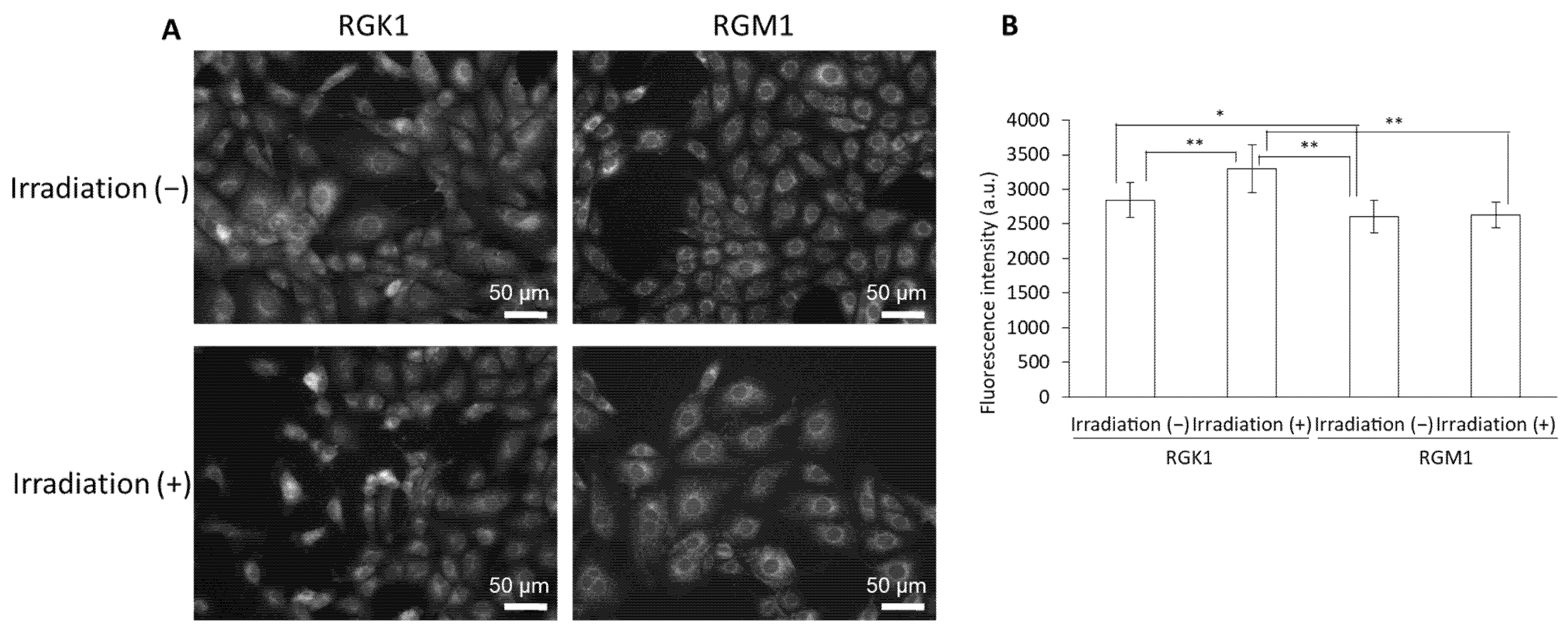 Molecules 27 01238 g006