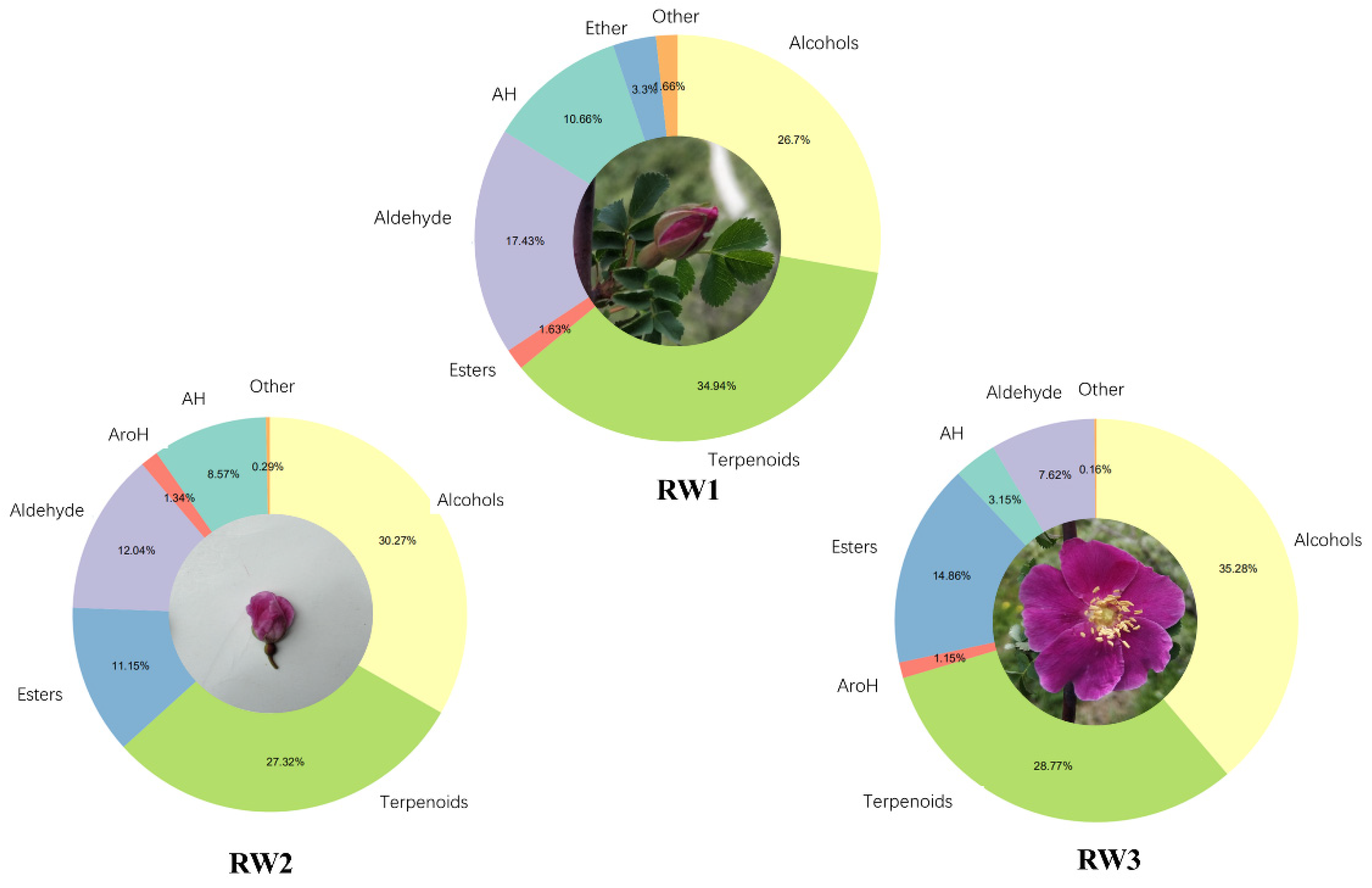 Molecules 27 01240 g002