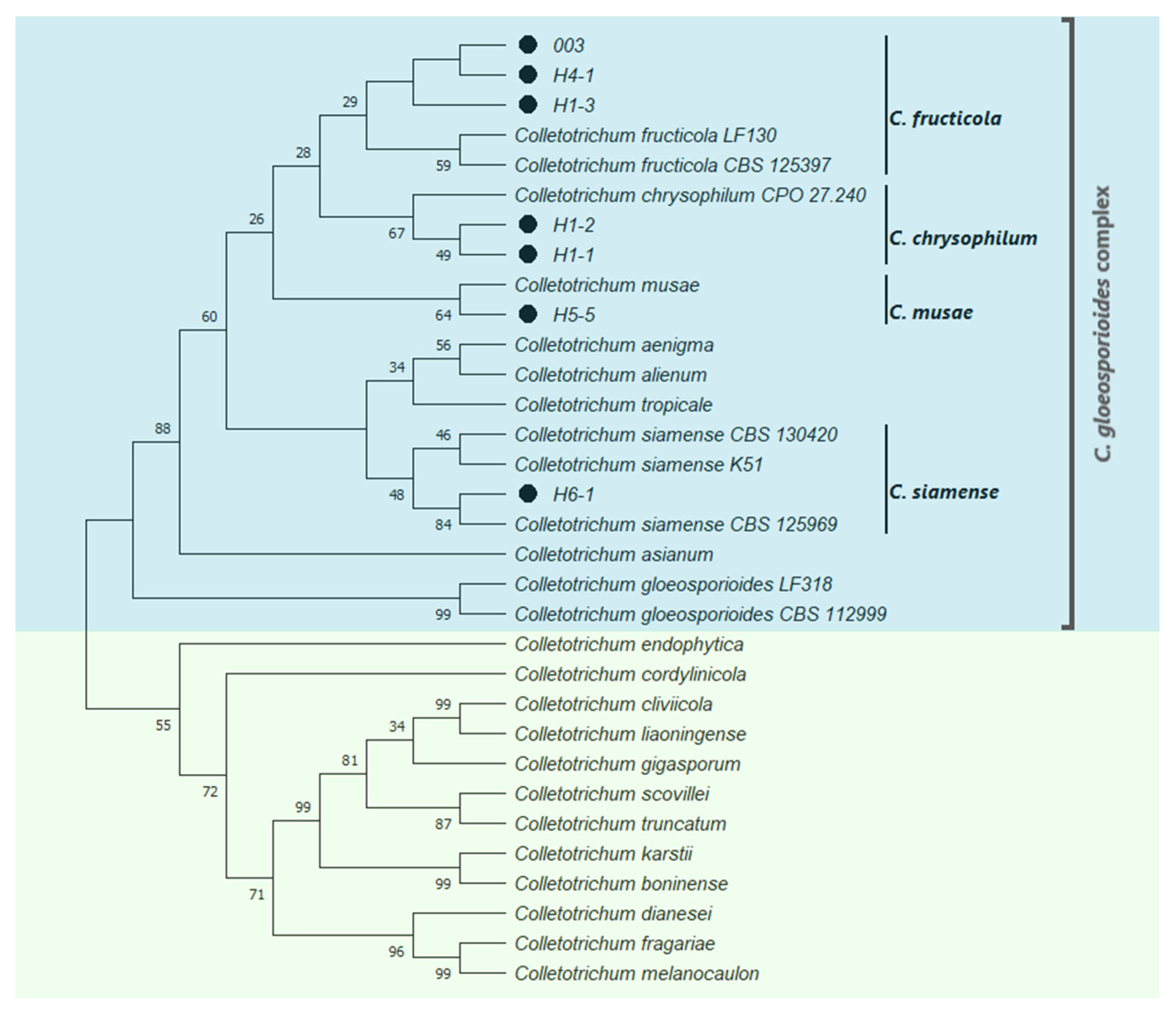 Molecules 27 01244 g002