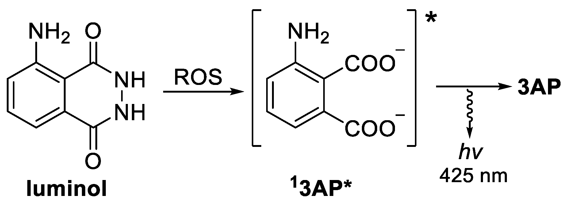 Molecules 27 01245 g001