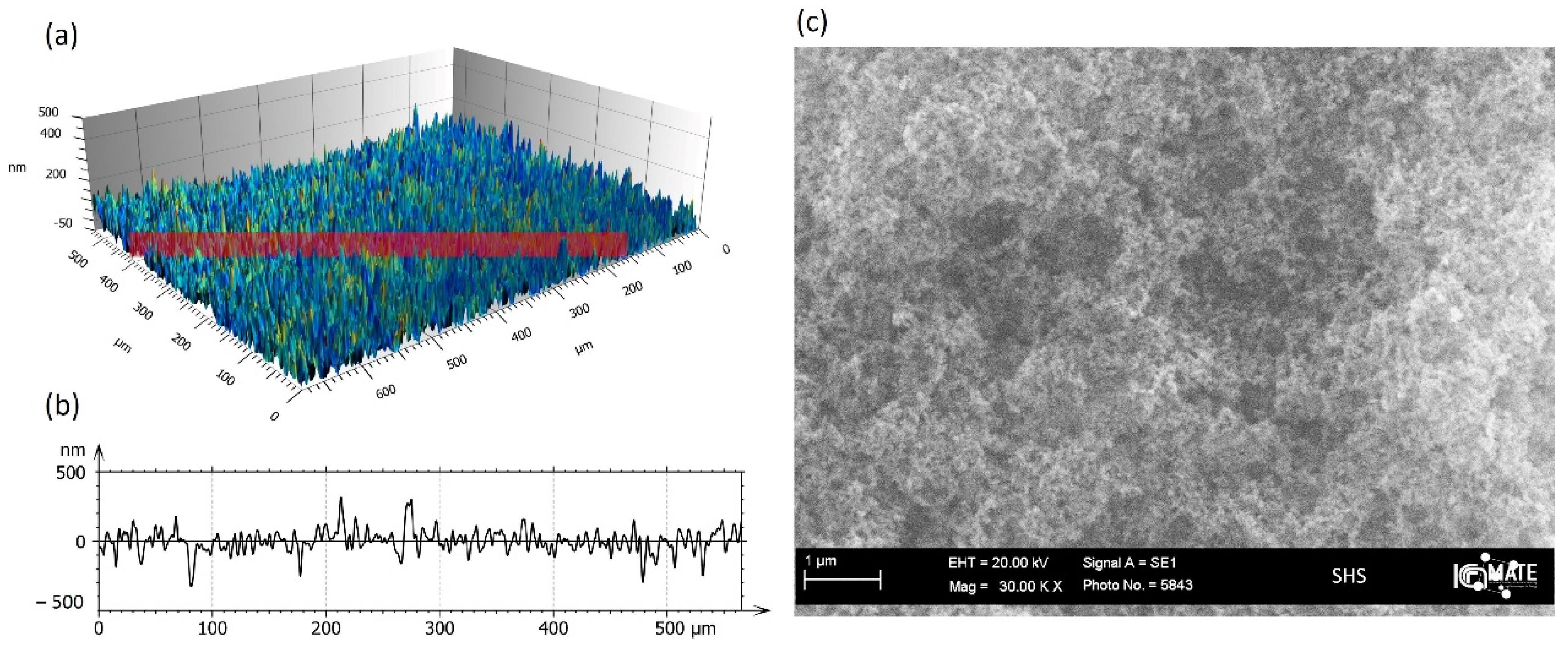 Molecules 27 01247 g001