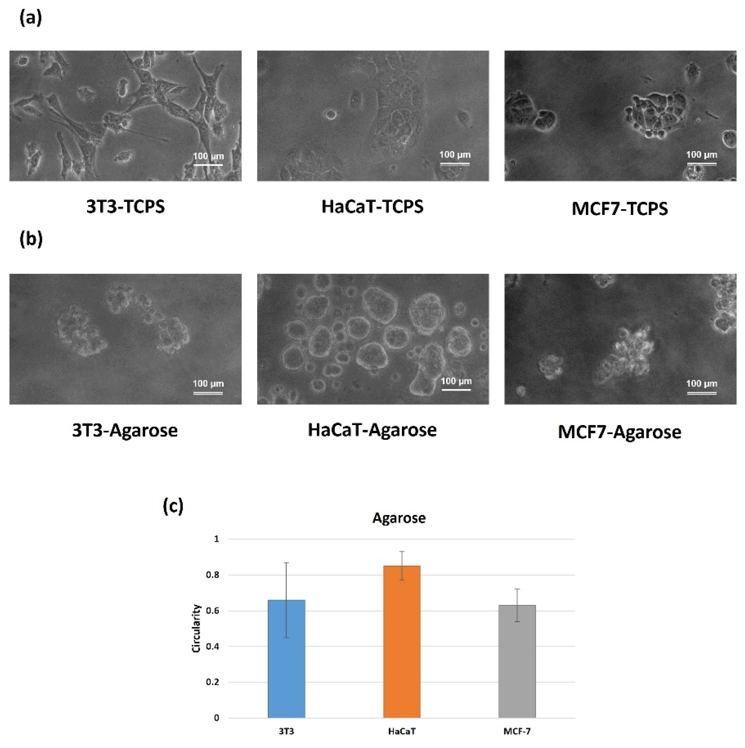 Molecules 27 01247 g002