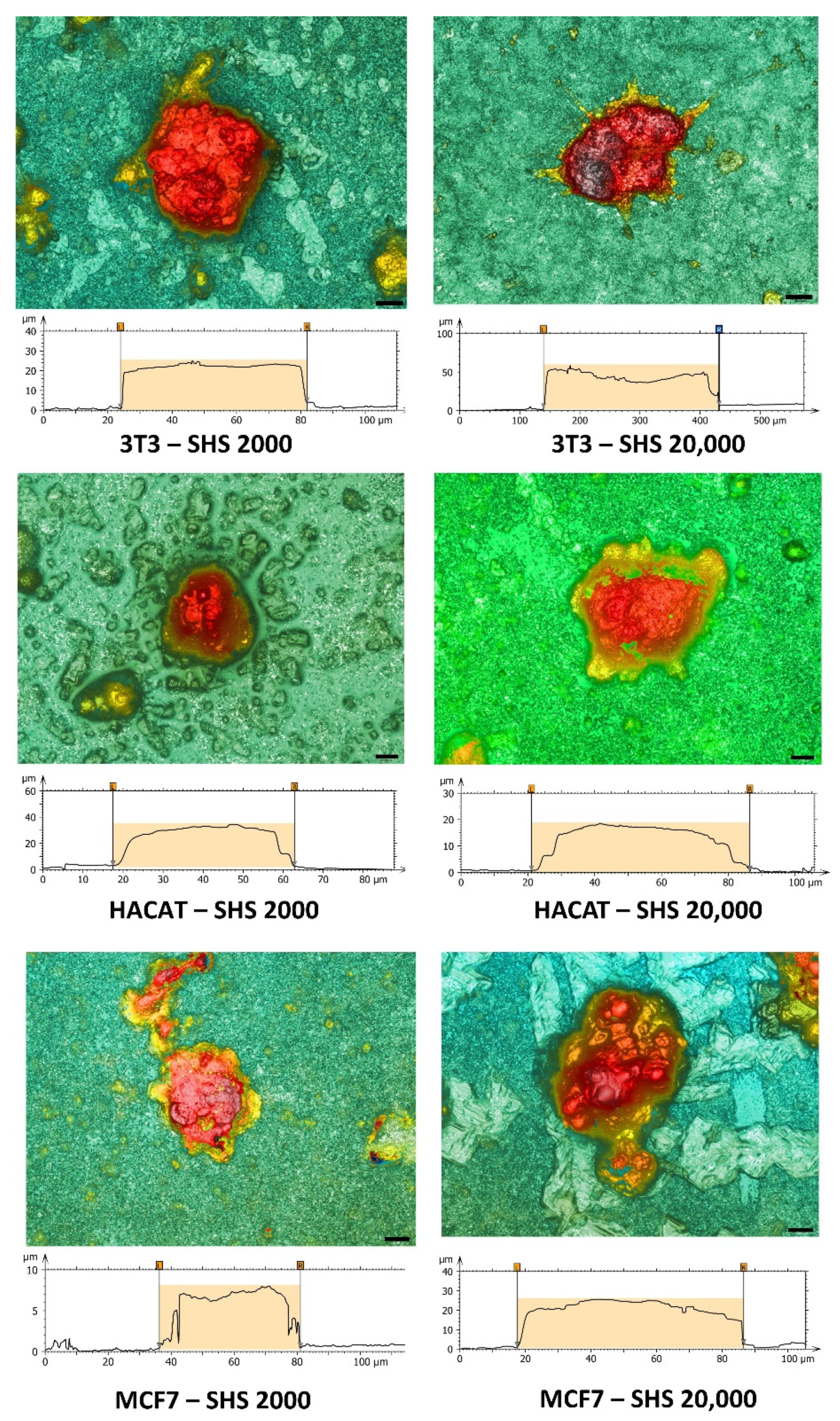 Molecules 27 01247 g004