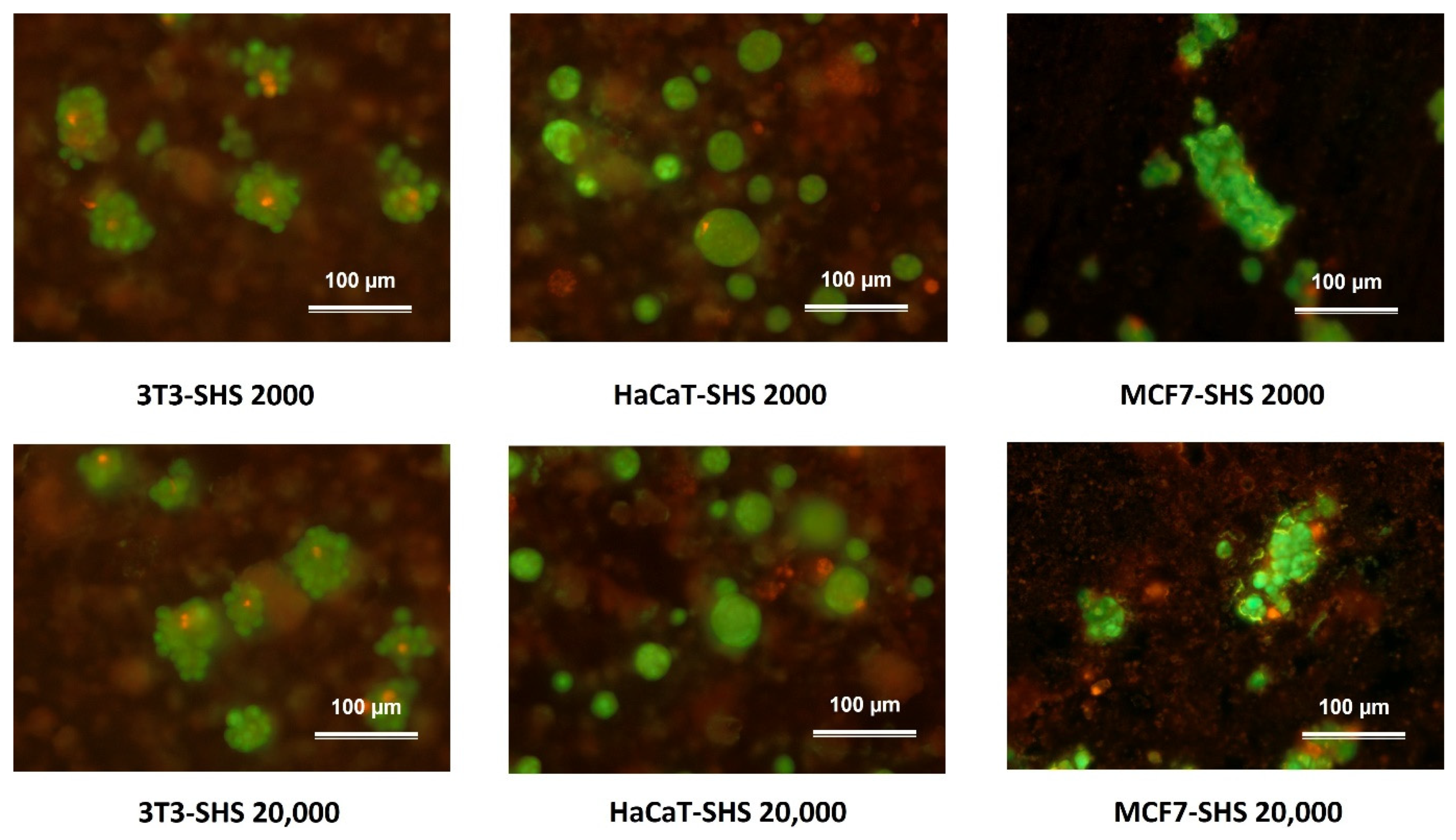 Molecules 27 01247 g005
