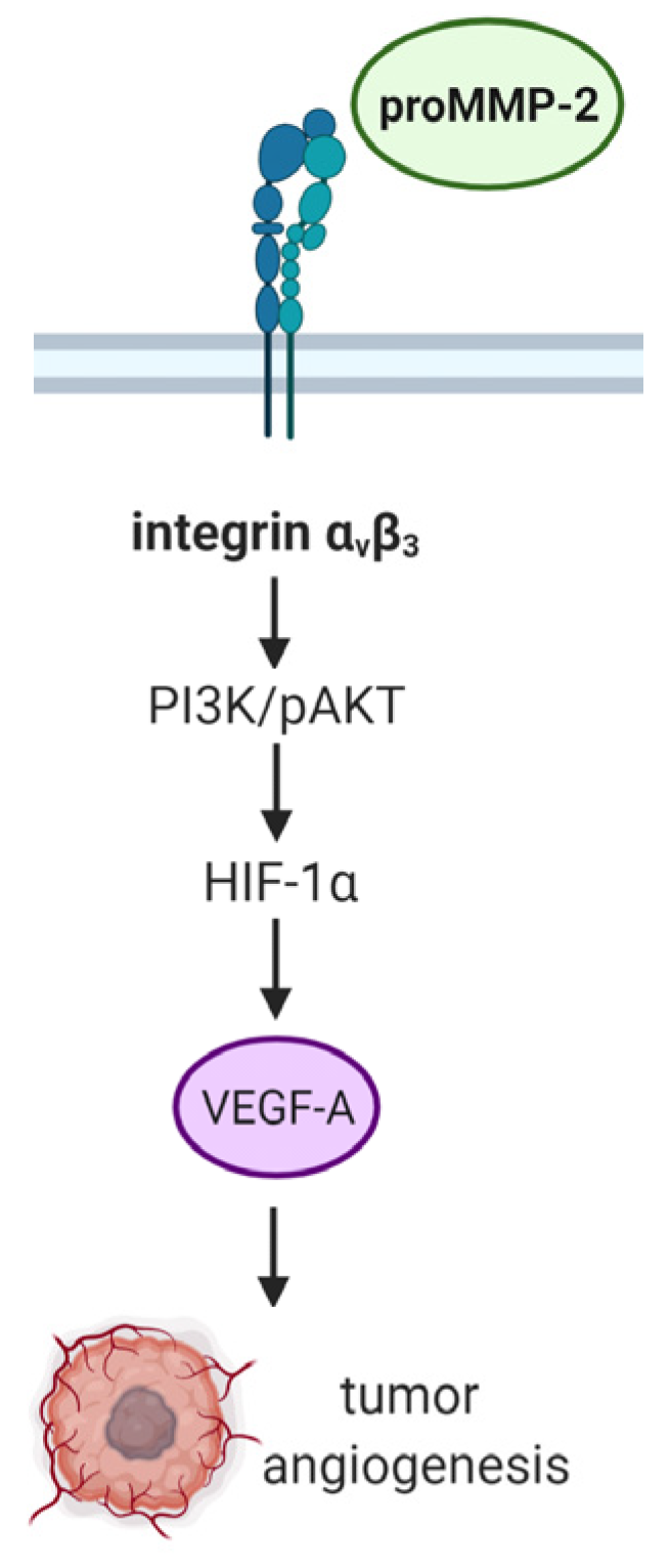 Molecules 27 01249 g001