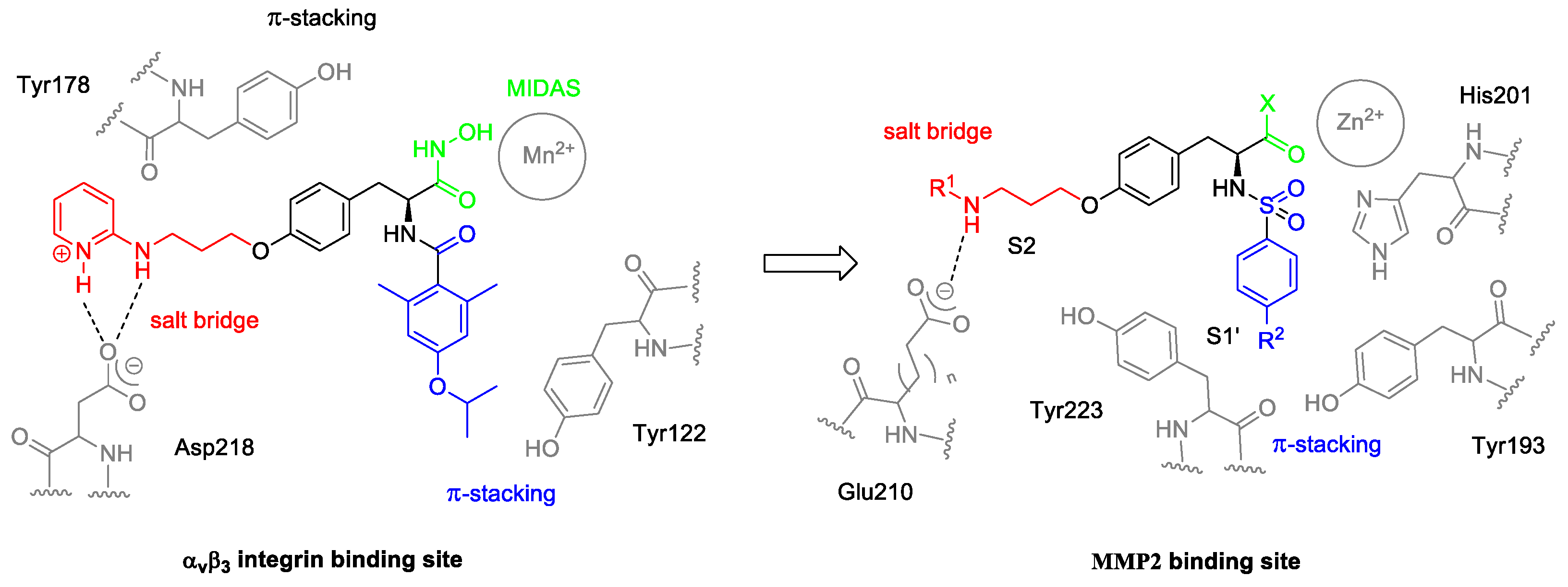 Molecules 27 01249 g002