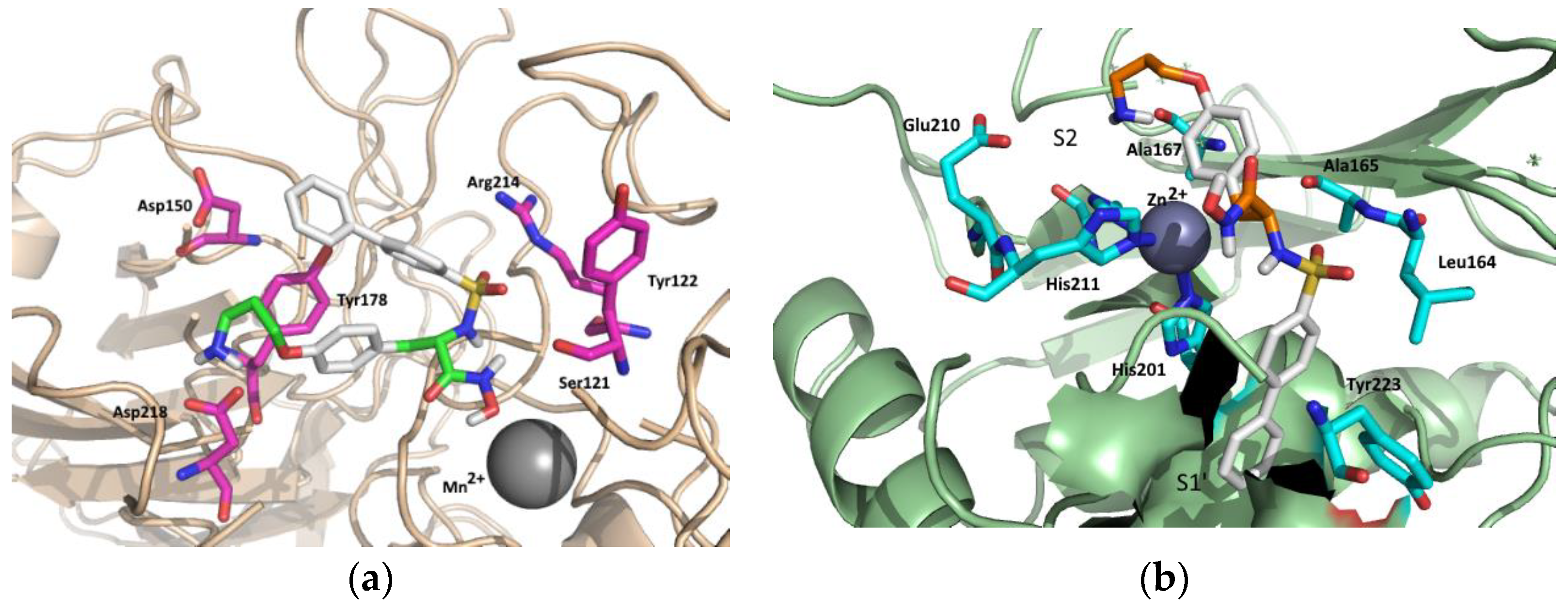 Molecules 27 01249 g004