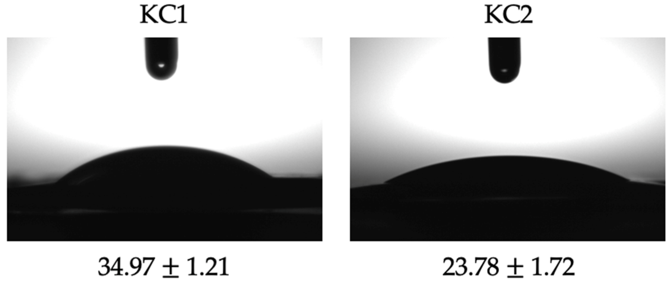 Molecules 27 01250 g001