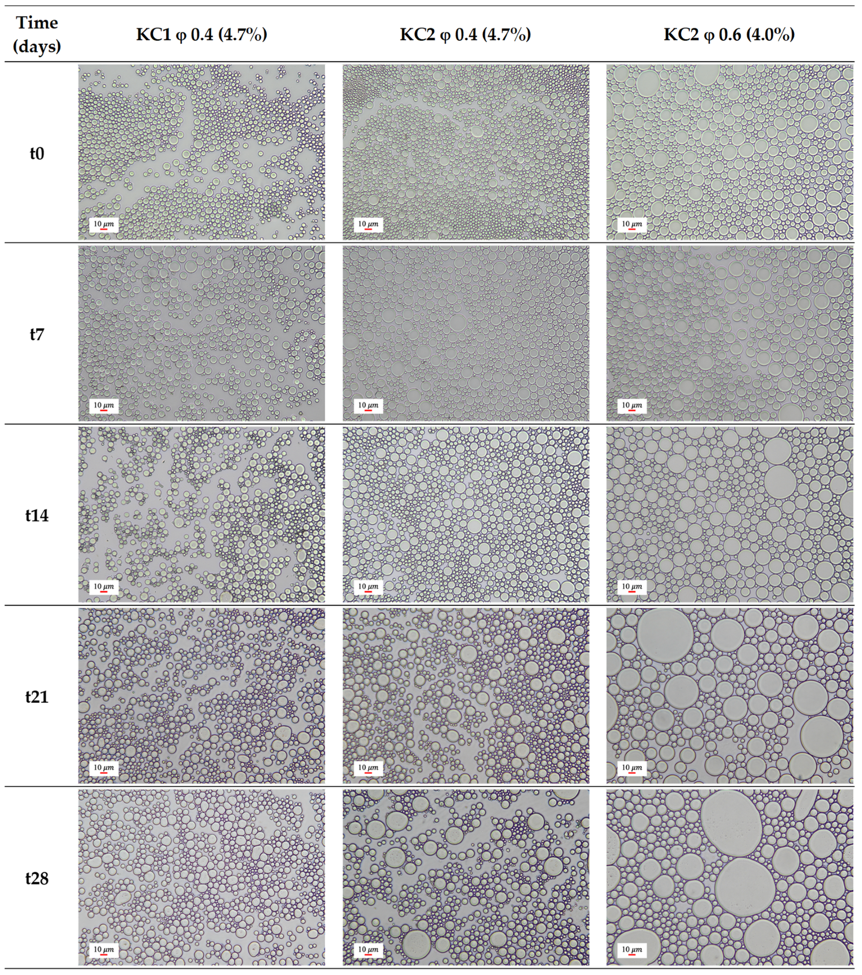 Molecules 27 01250 g003