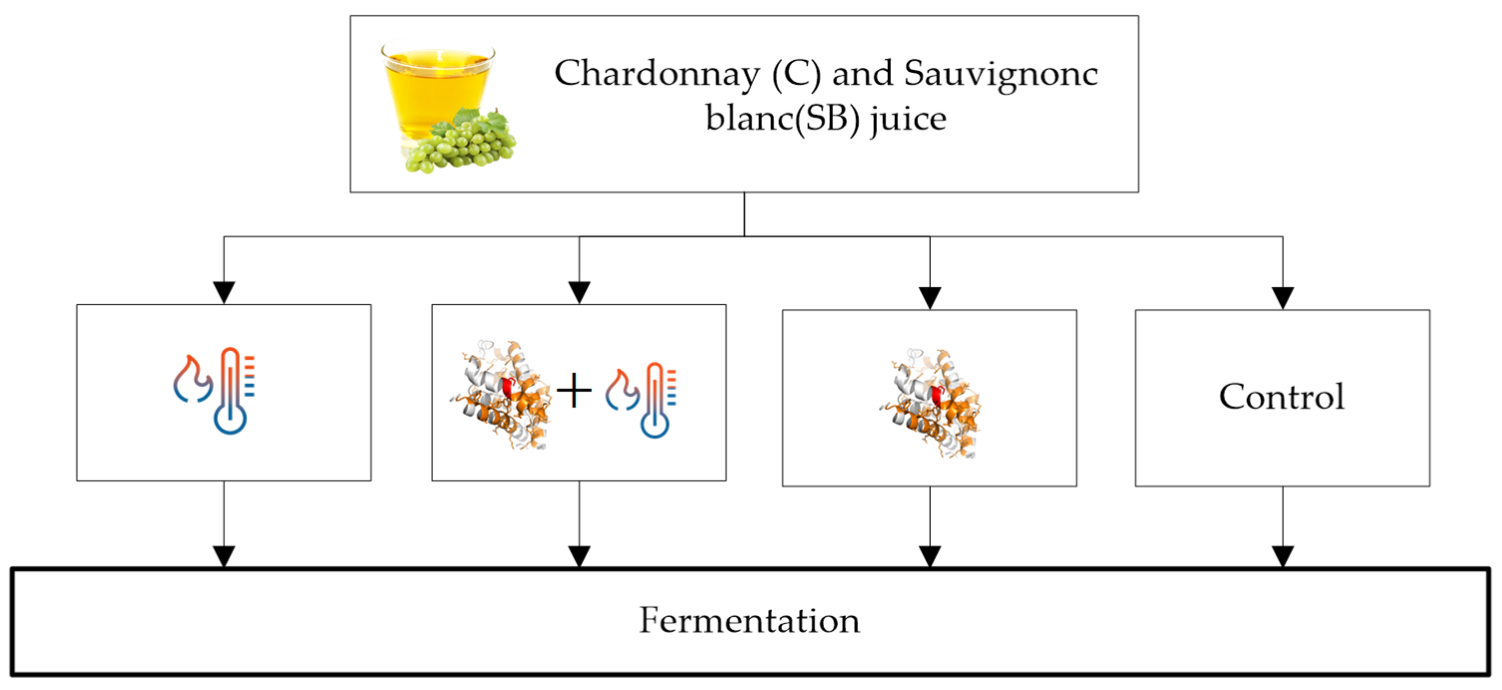 Molecules 27 01251 g001 Molecules 27 01251 g001