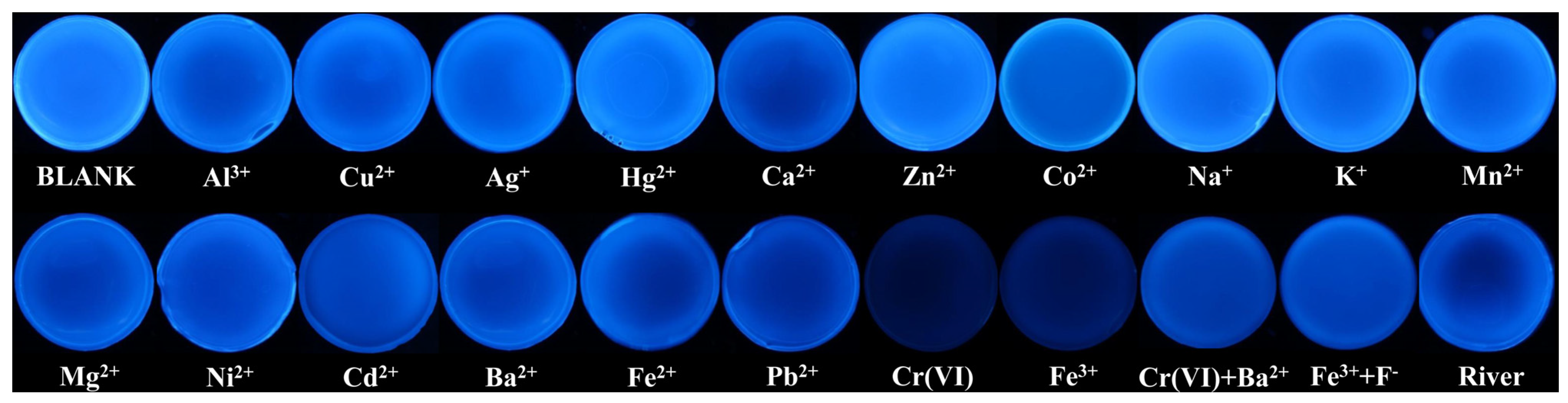 Molecules 27 01258 g006