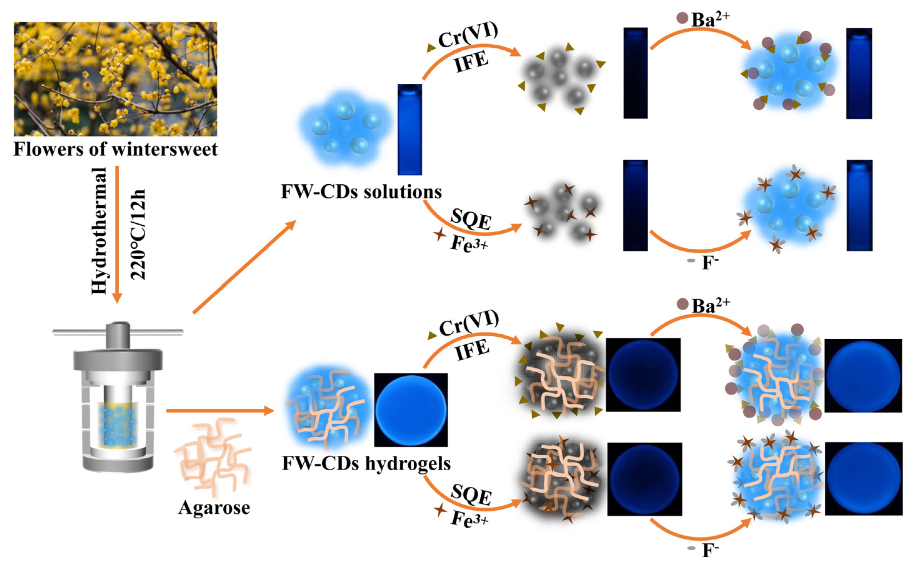 Molecules 27 01258 sch001