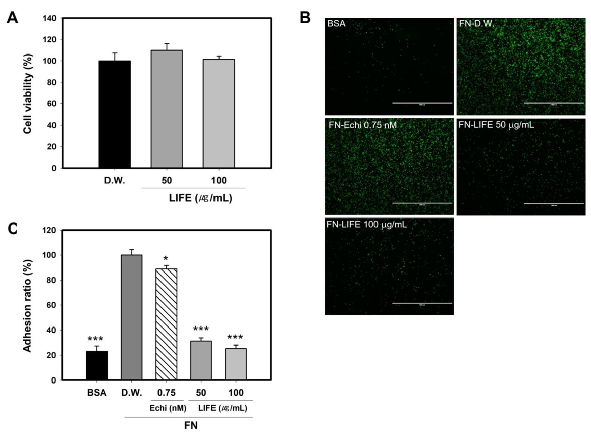 Molecules 27 01274 g001 Molecules 27 01274 g001